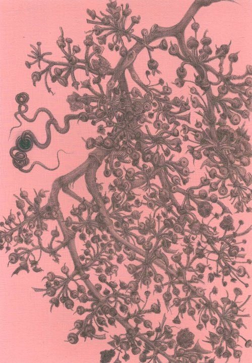 Après les Vendanges