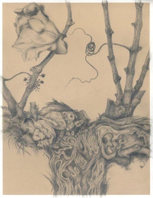 Twist and Sprout, Portuguese Vines I