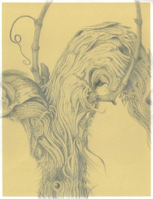 Twist and Sprout, Portuguese Vines II