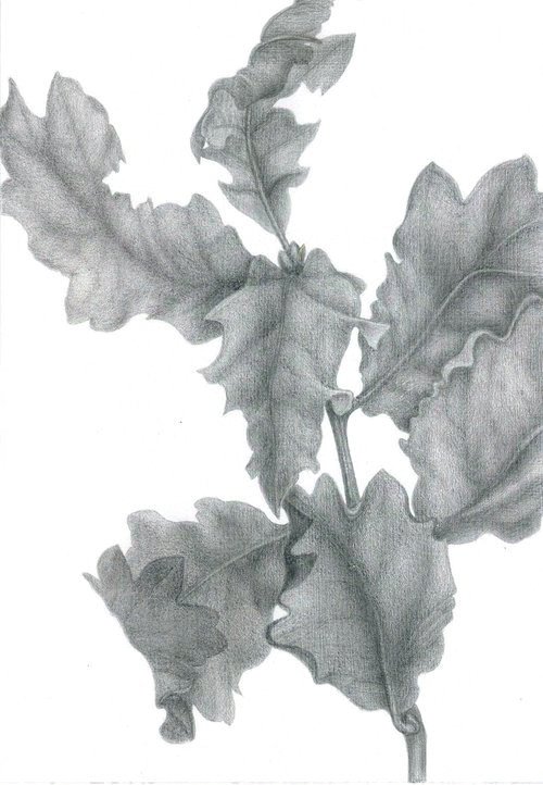 Oak Leaf Dance, Autumn