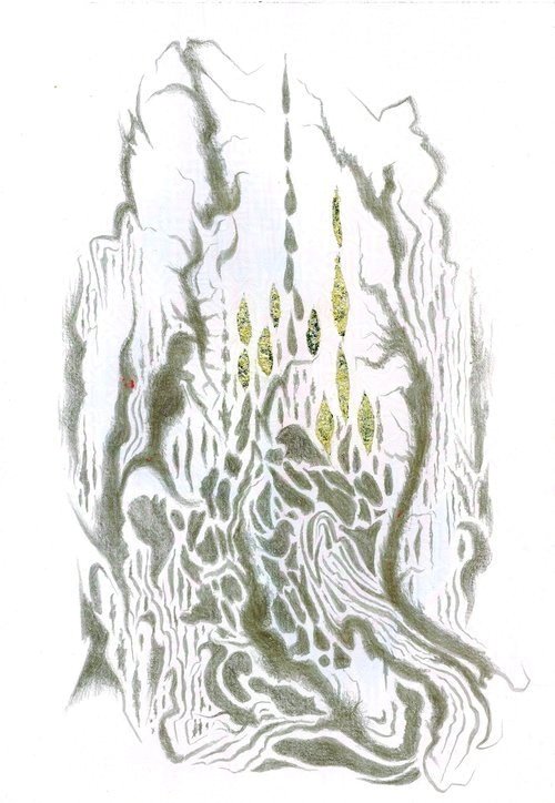 Another Layer, Cork Oak