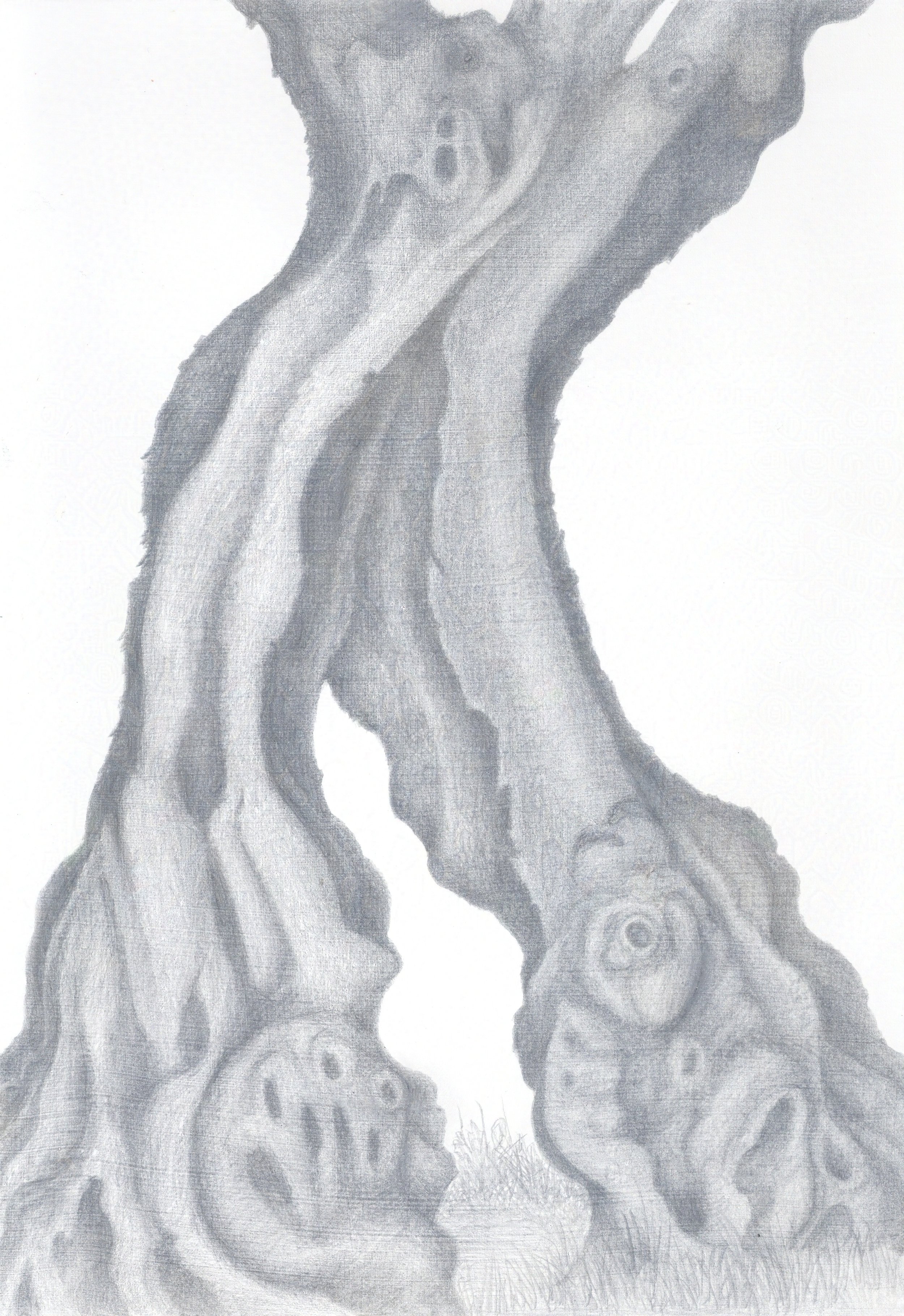 Frost Survivor -- Castelas Olive  