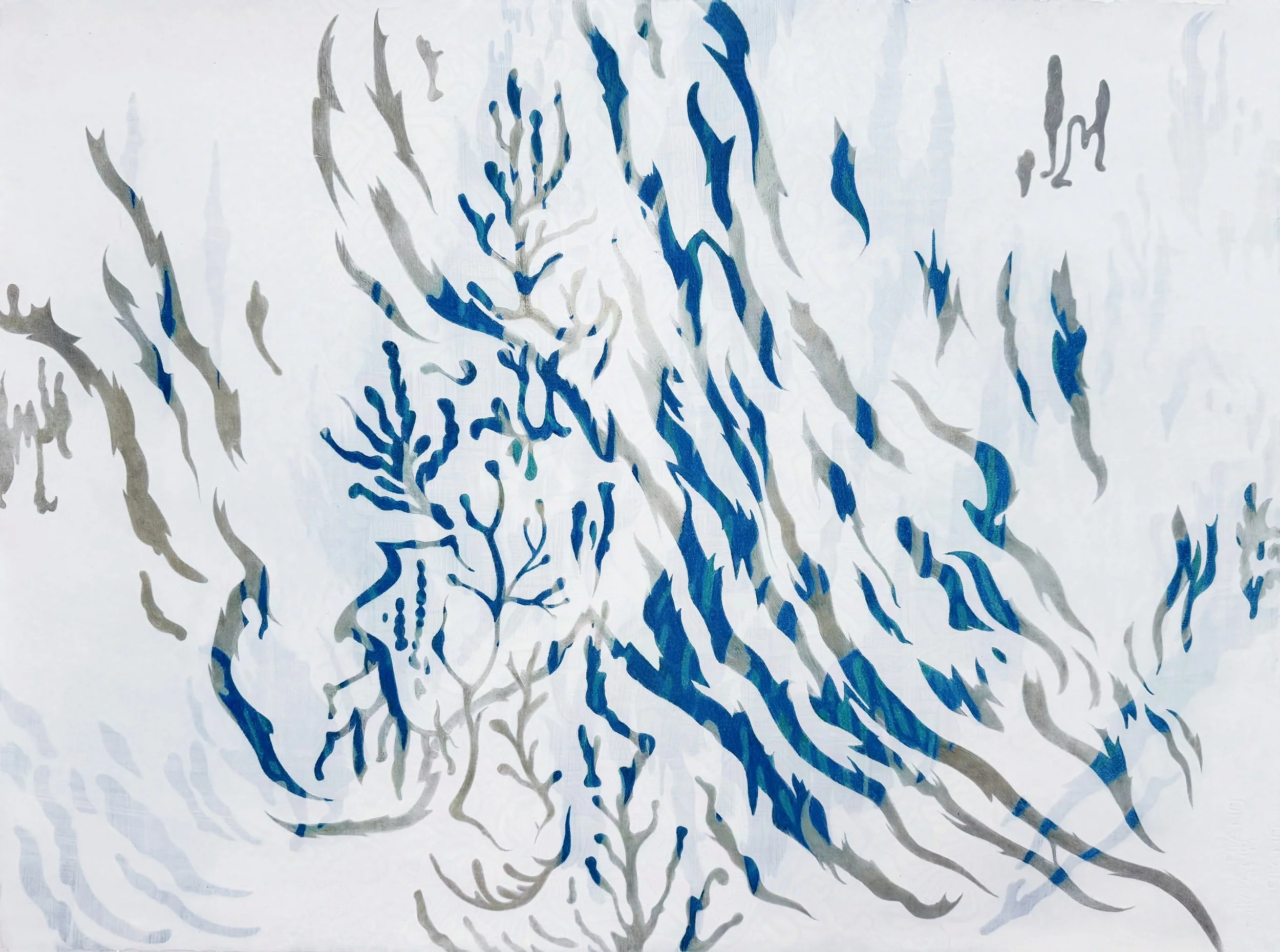 Paperbark - the Woodborers' Home svpt-Poly  G-1579-protected-intensity-DEFAULT-V2.jpg