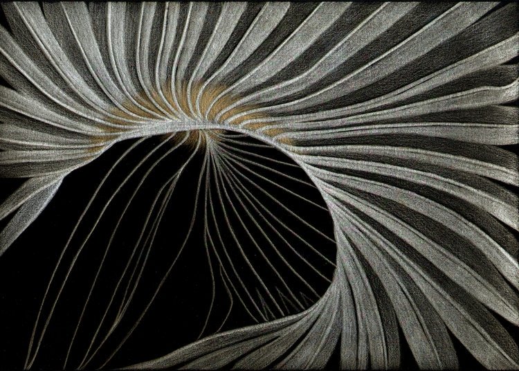 Palmetto+Frond+Glazed.jpg