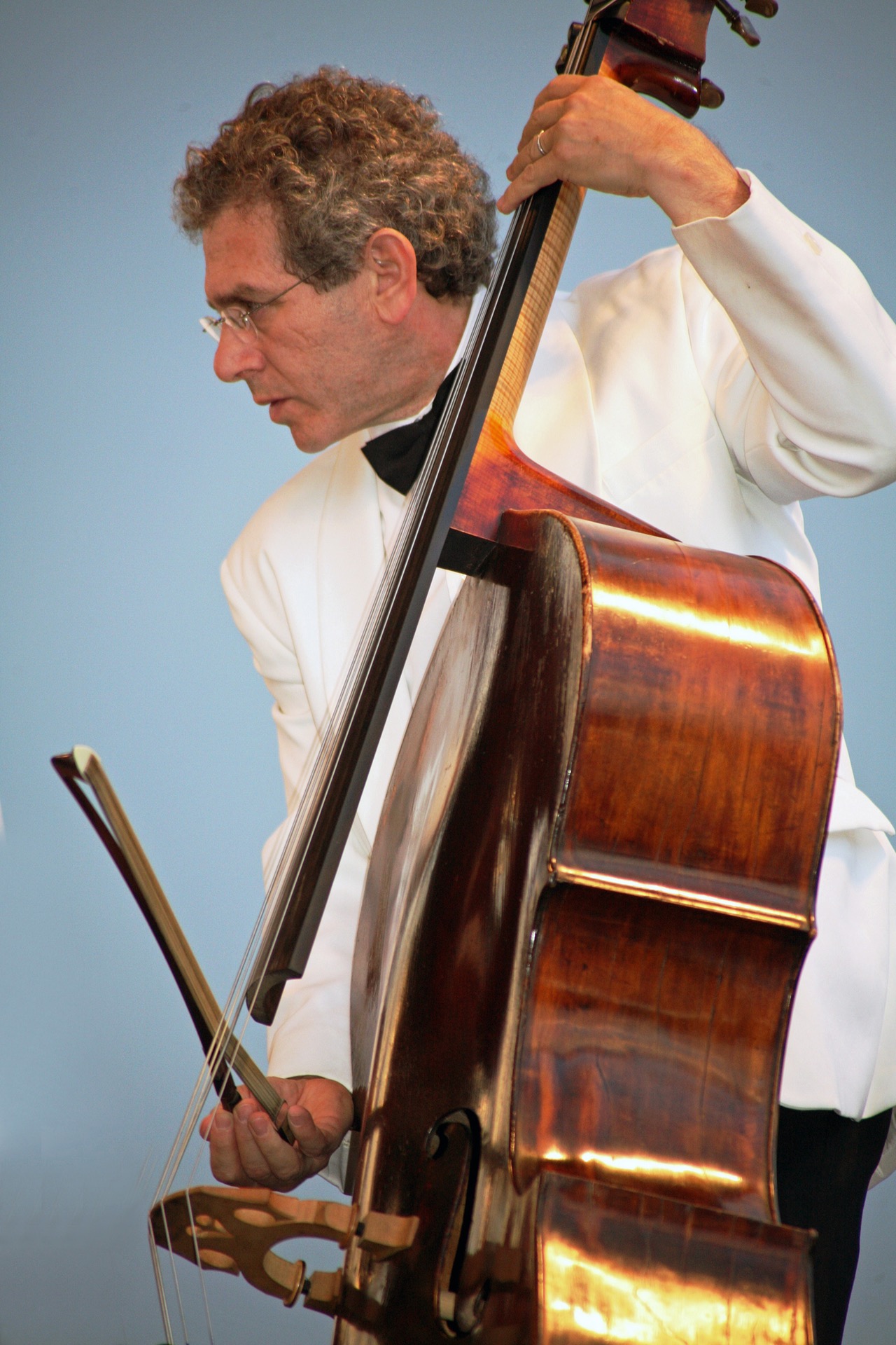 A double bass is big
