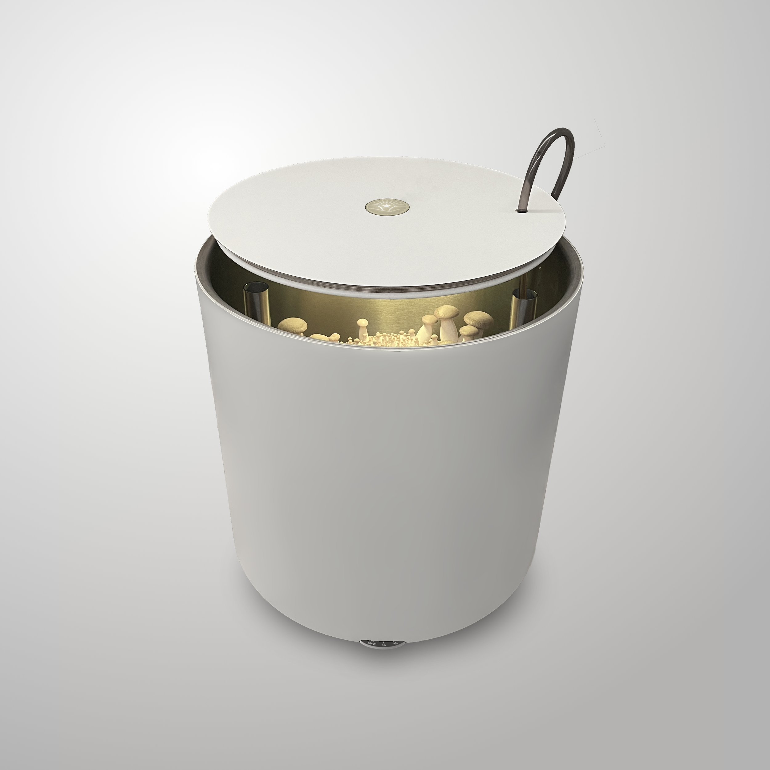 Titelbild quadratisch.png