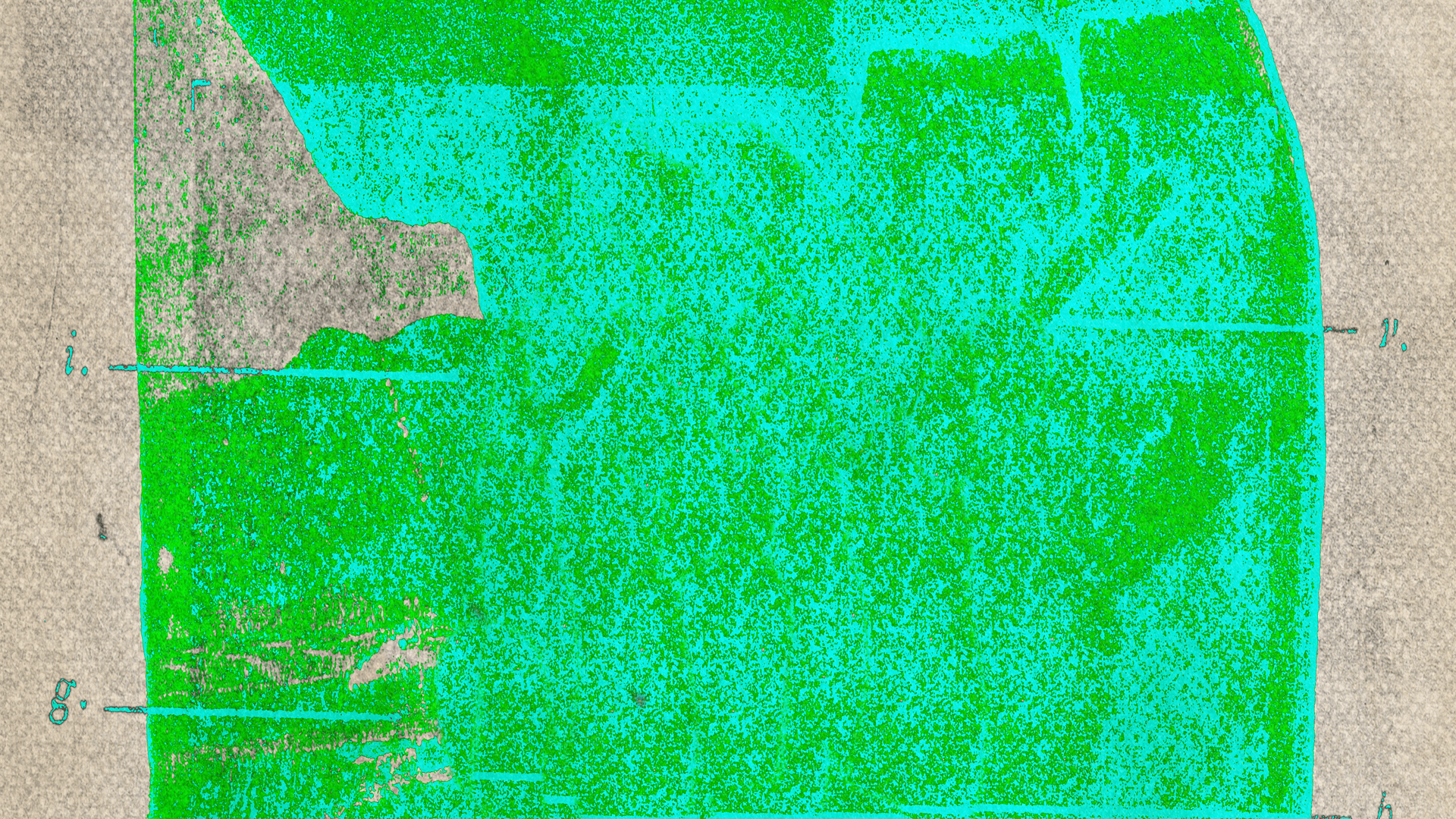 WT - Entertain You BACK2.png