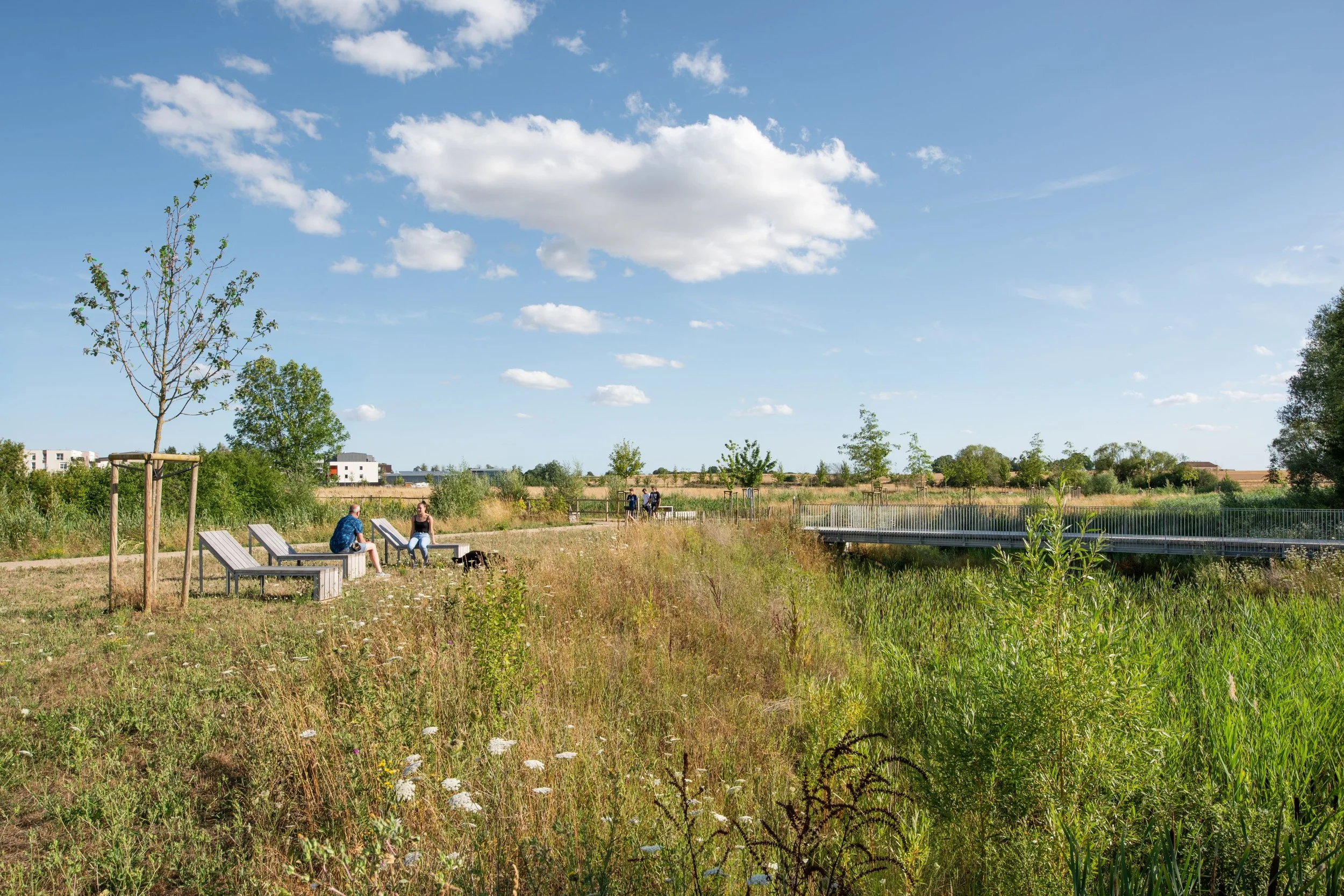 ARPENTERE_Metz_parc(3).jpg