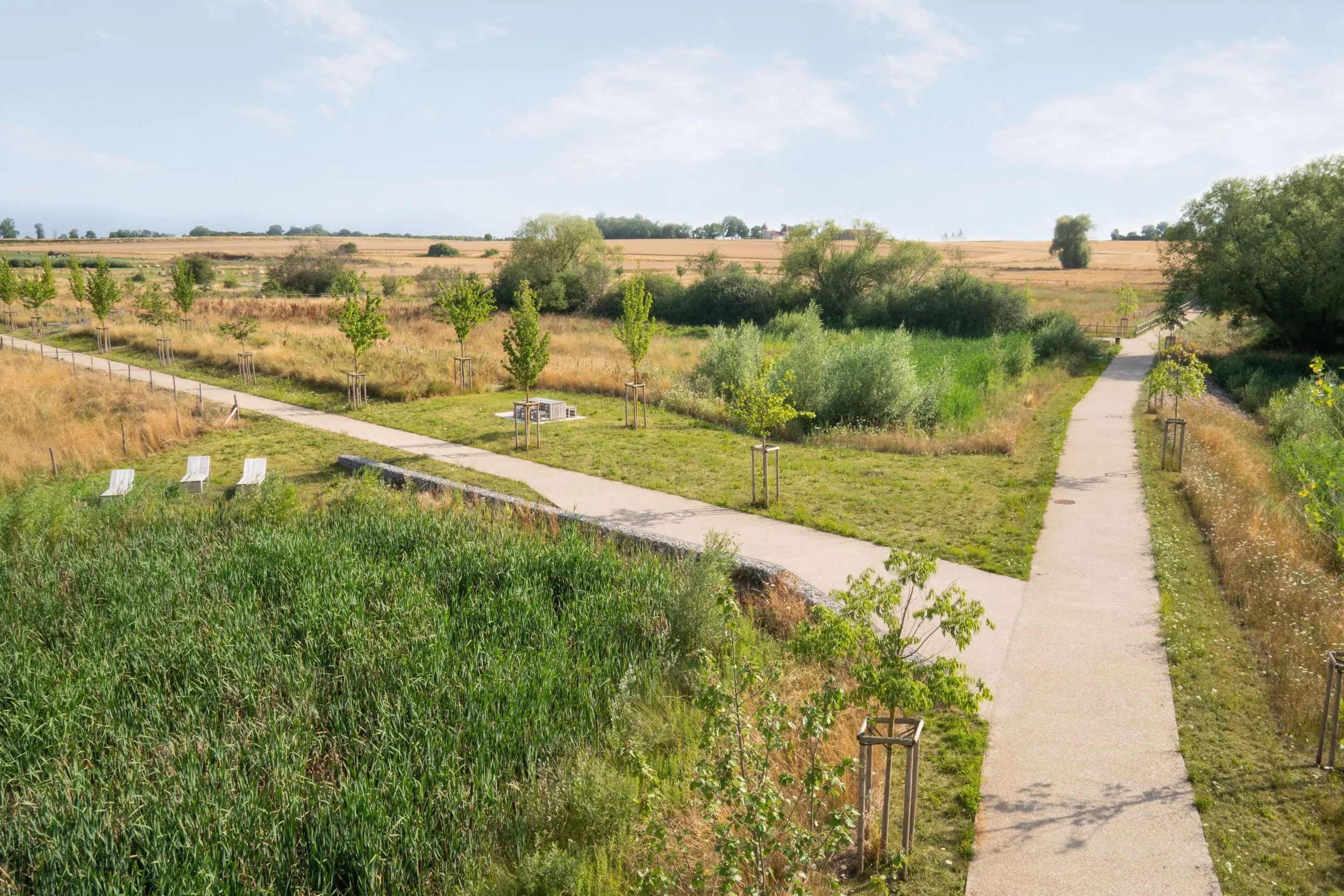 La vie autour du vallon