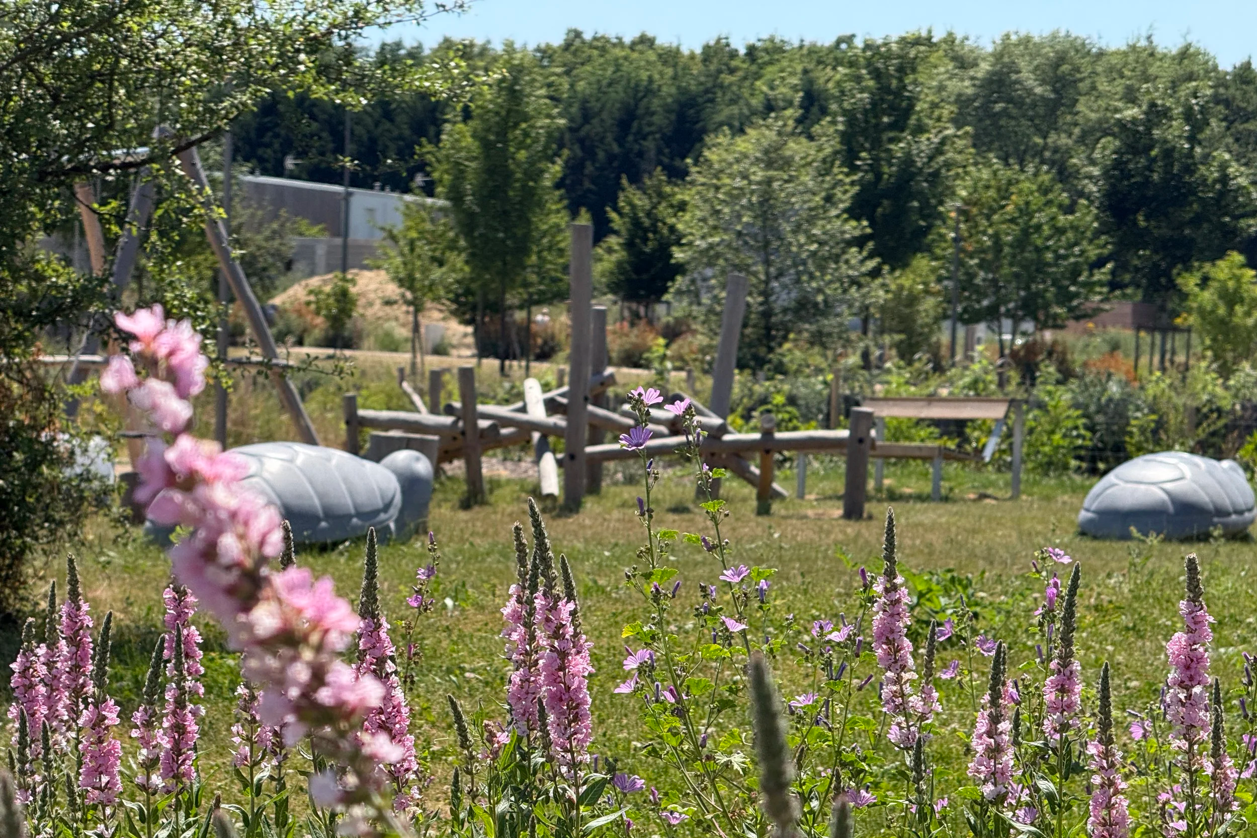 Le parc urbain de l'Éco-quartier de la Guignardière