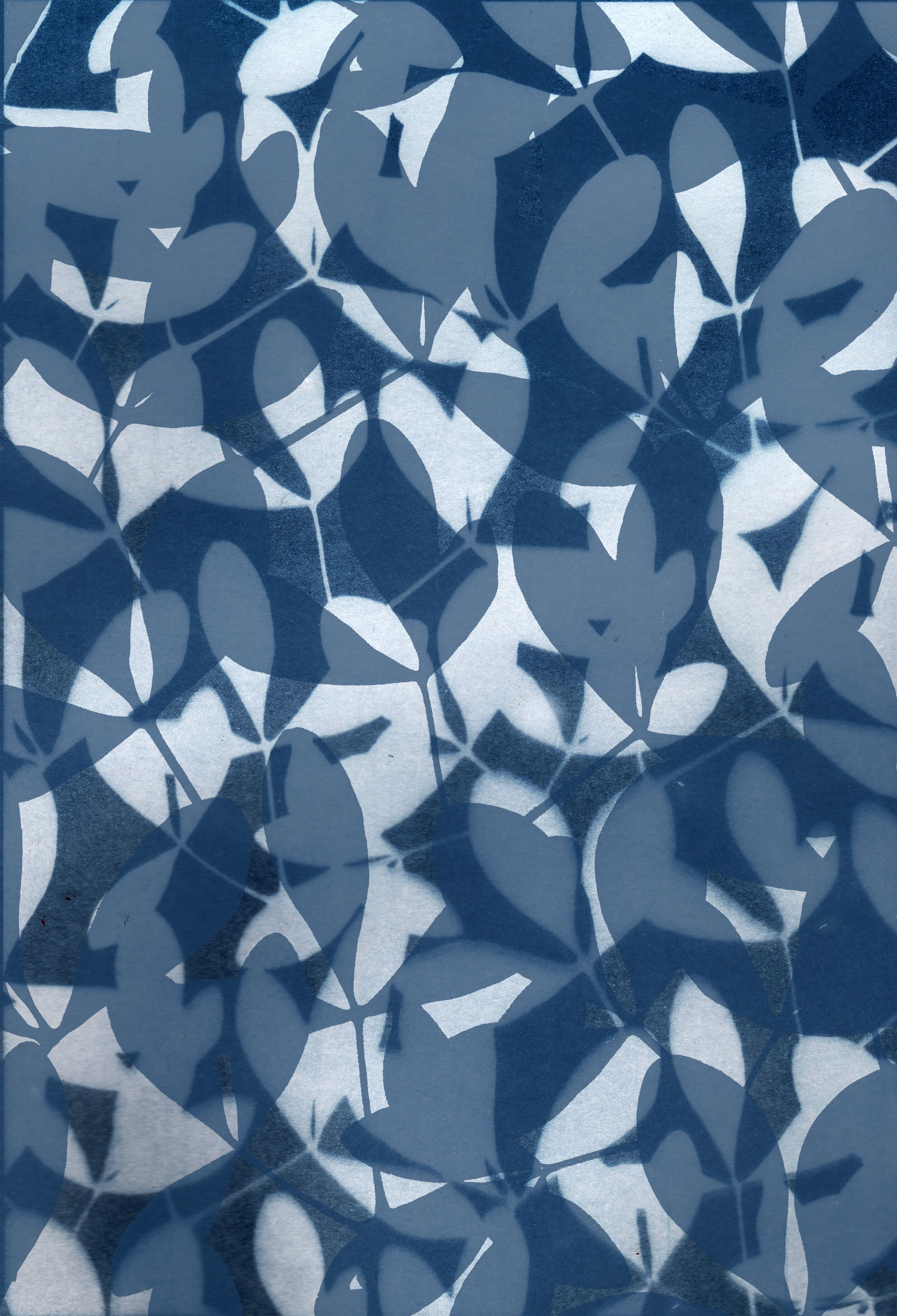 cyanotype-2A.jpg