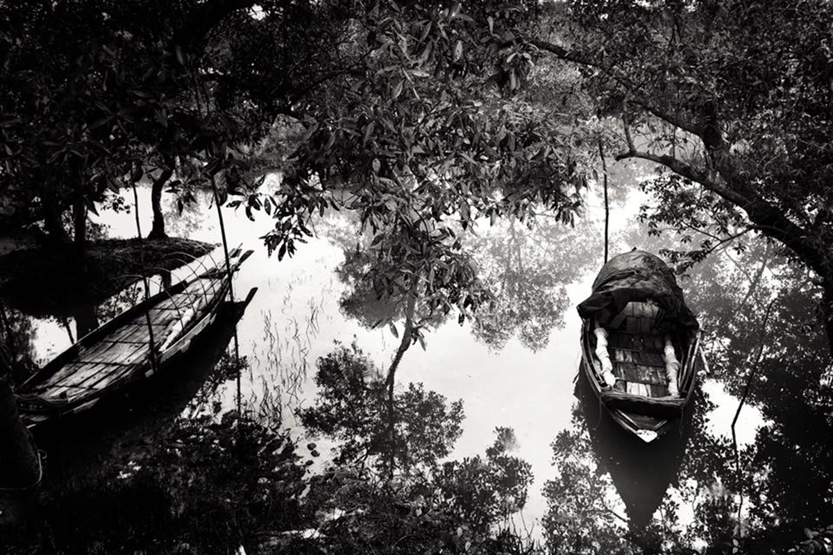 The mangrove forests of the Sundarbans are among the most productive ecosystems in the world. They are incredibly biodiverse and rich in species of both ecological and economic importance