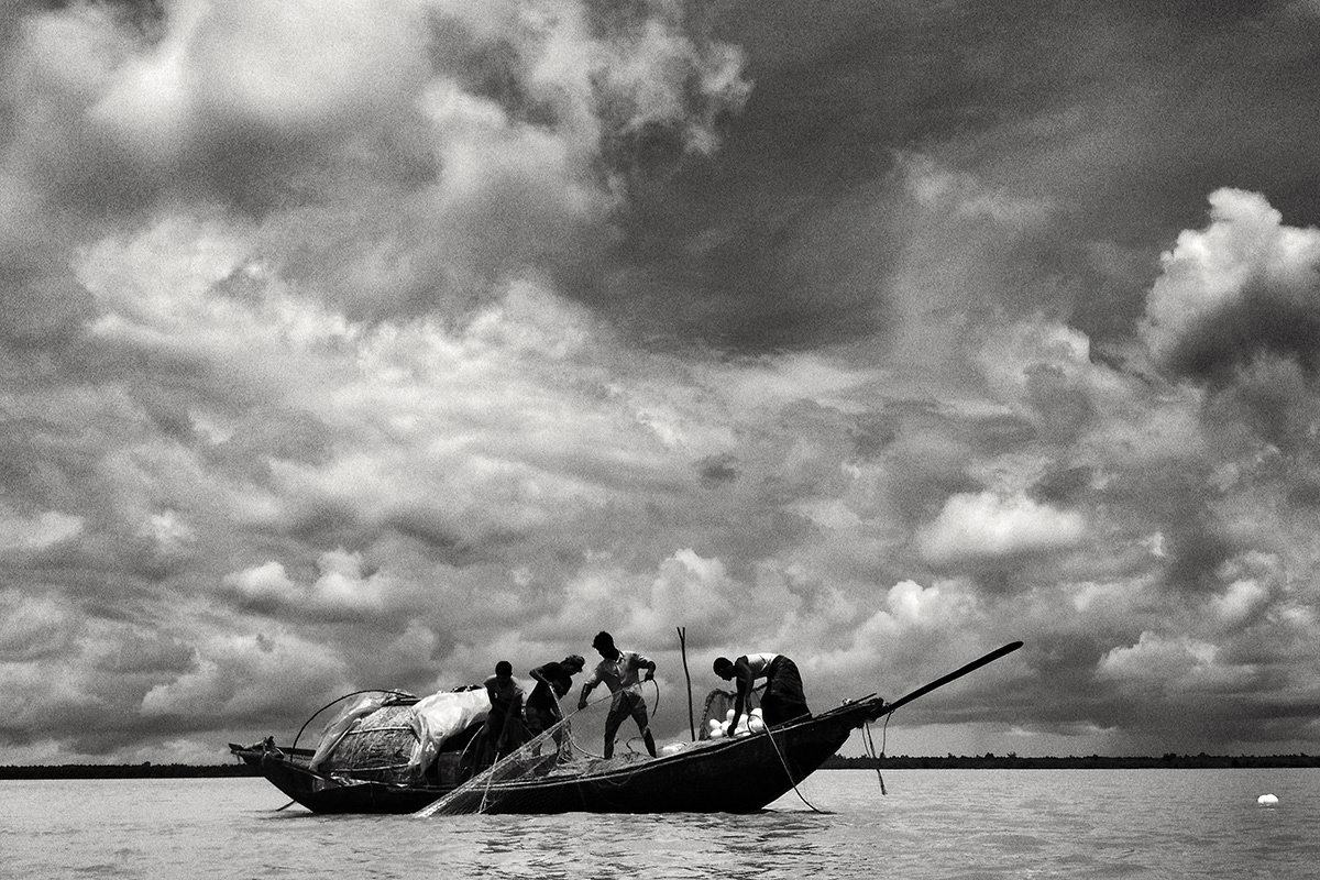  Over half a million fishers depend upon the Sundarbans for livelihood - they include fishers, crab-catchers, honey-hunters, prawn-seed collectors, and woodcutters. 