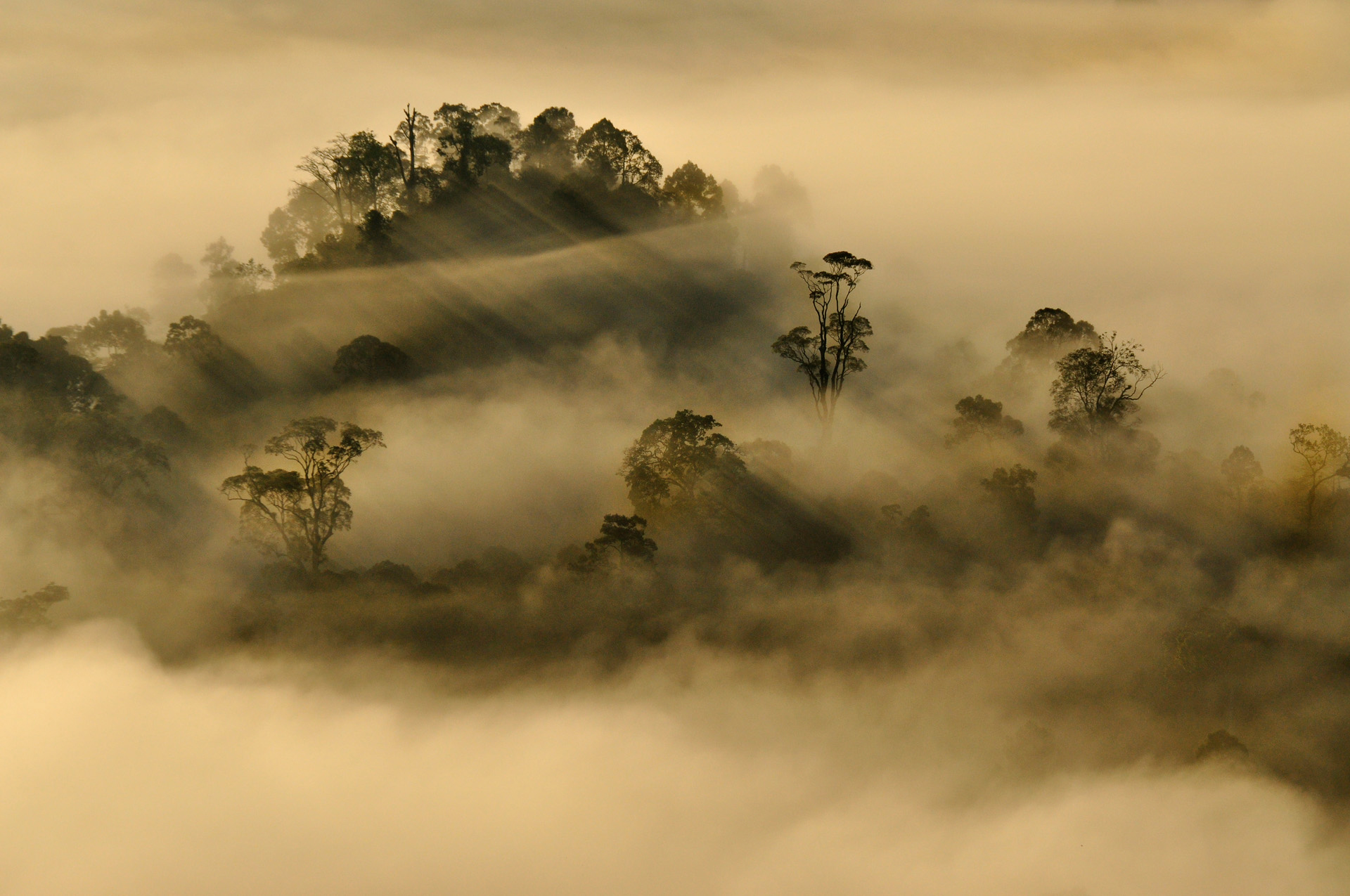 Borneo, Malaysia