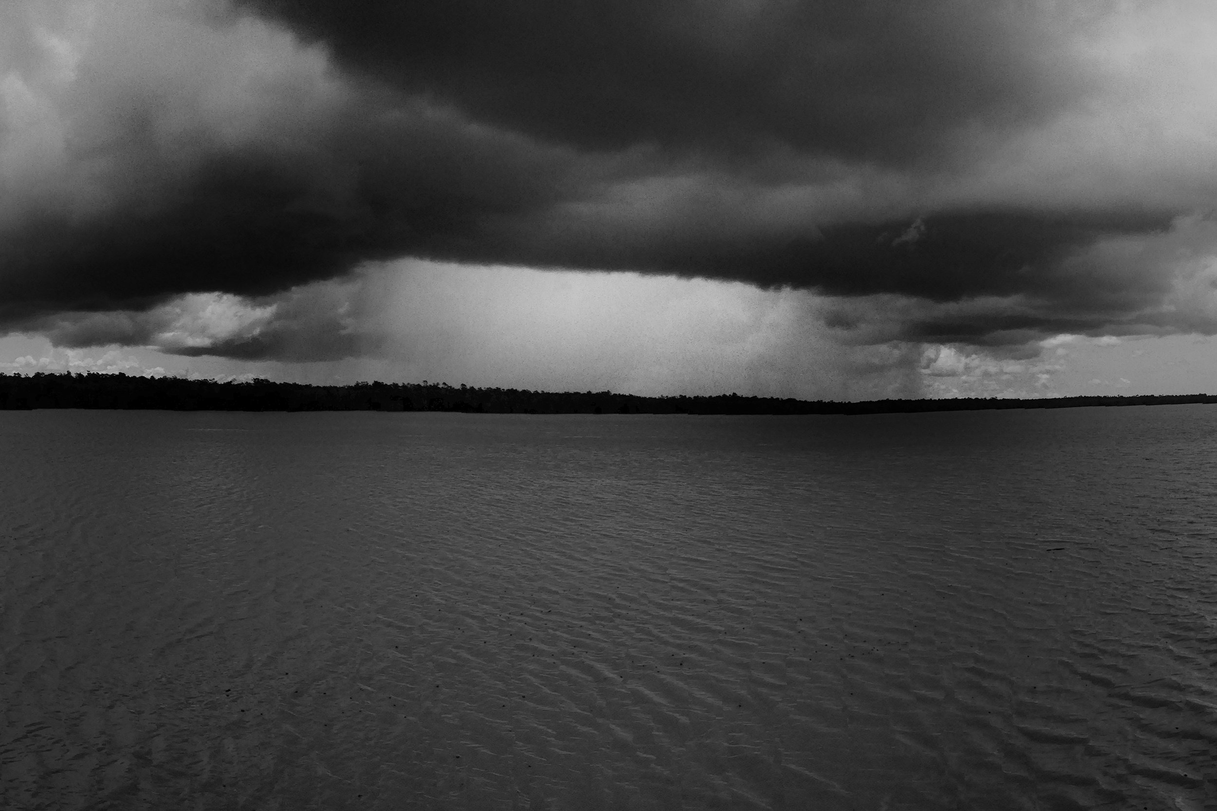  The Sundarbans fight in the frontline of the defense against climate change, acting as a buffer for the storm surges and cyclones thrown at Bangaldesh and West Bengal by the Bay of Bengal.&nbsp; 