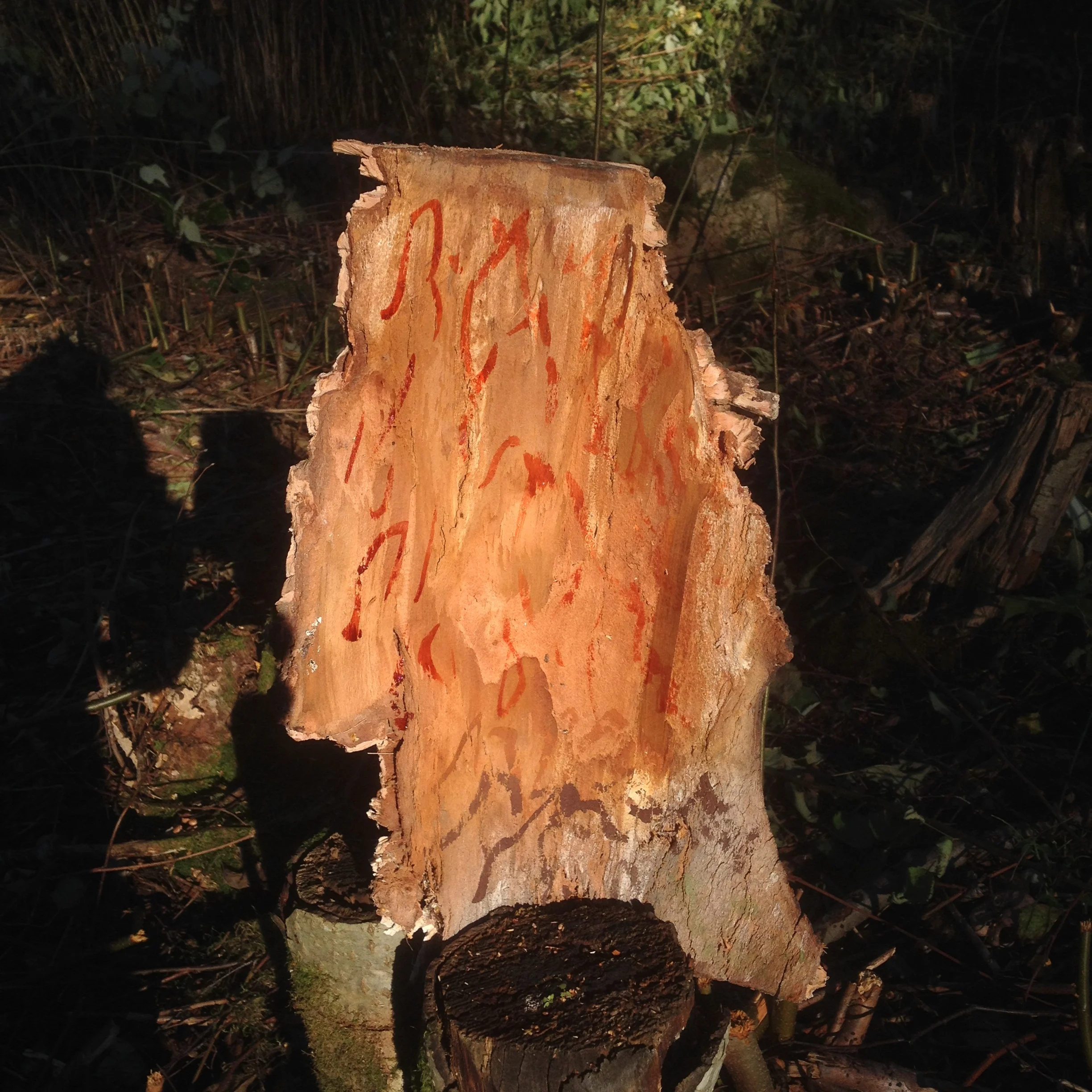 Bark messages, 2016