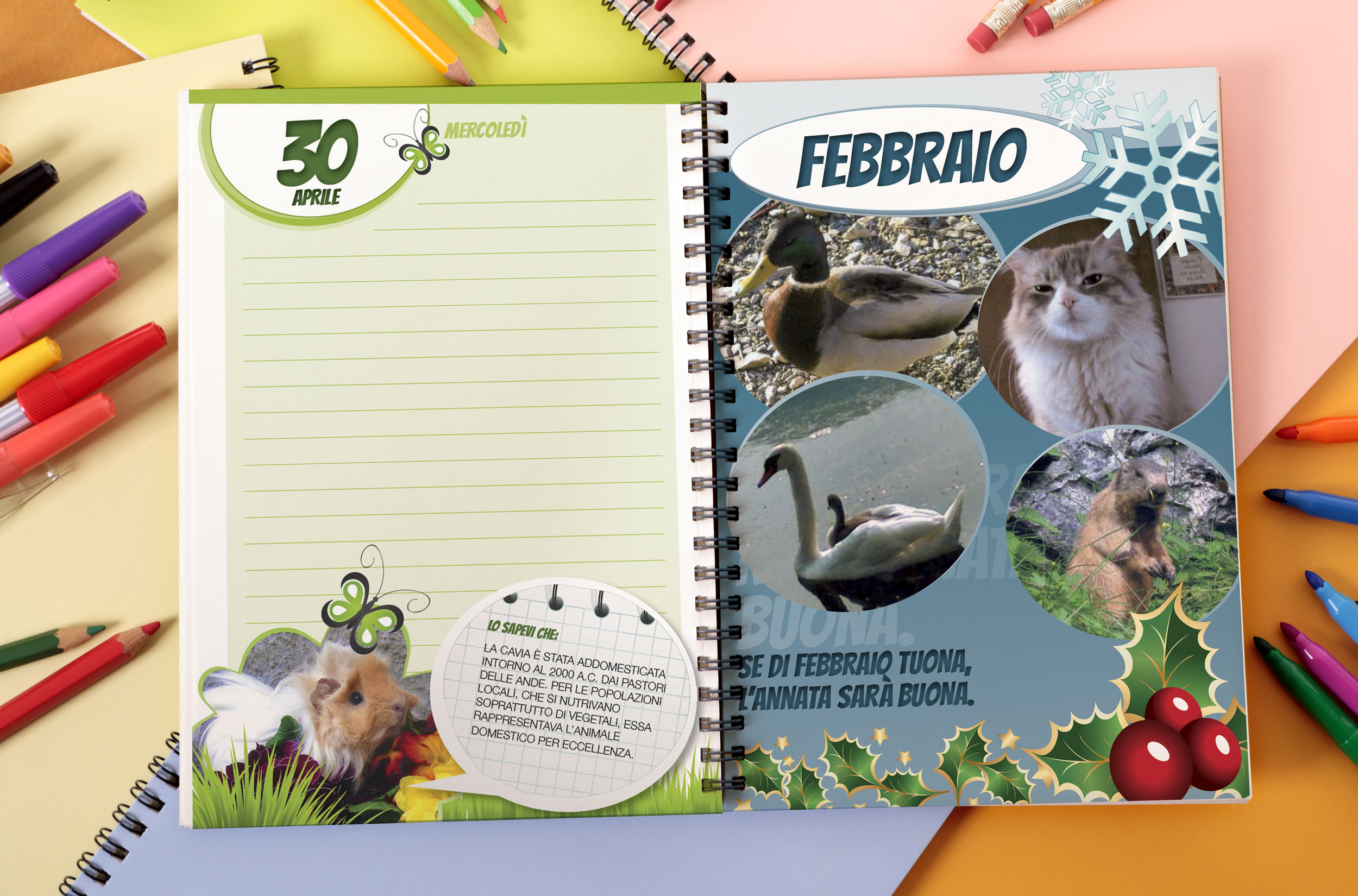 diario interno4.png