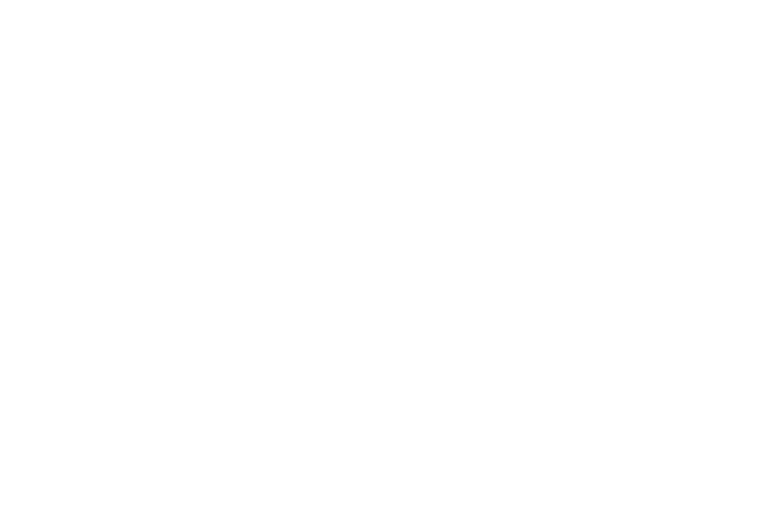 OFFICIALSELECTION-NeuWorldInternationalFilmFestival-2016 copy.png