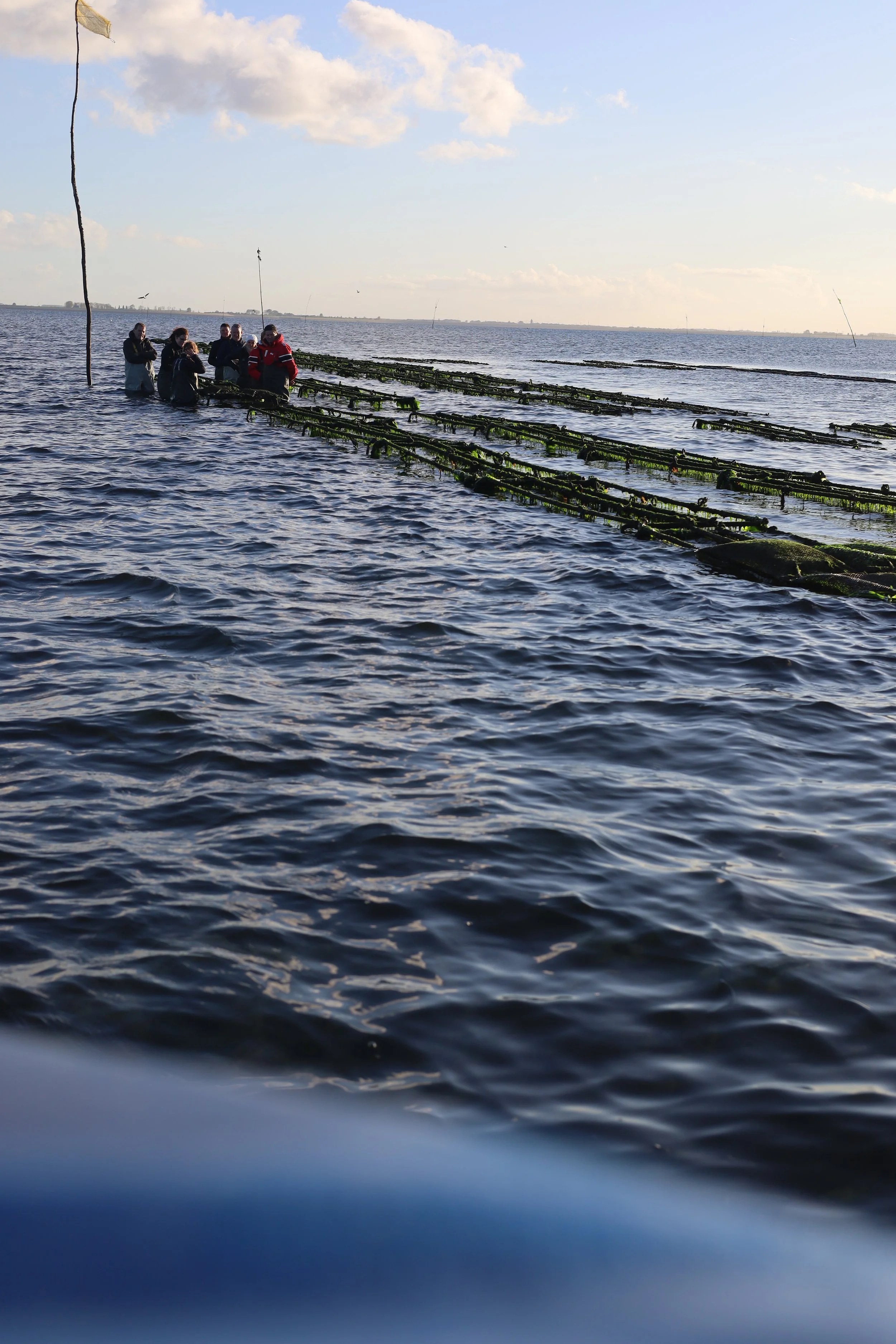 OESTER EXPERIENCE (2 laste minute plekken vrij)