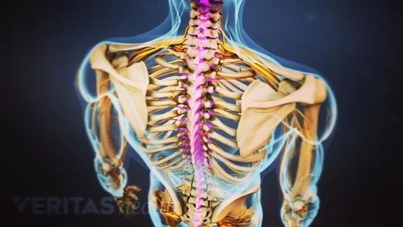 Do you experience back aches?
.
I've filtered down the top&nbsp;3 reasons why it&rsquo;s so important to keep your spine healthy:
.
🧠Your mind
⚡️Your energy
💪🏼 Your body
.
One of the most common issue I deal with as a yoga coach is low back pain.&