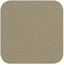 Simply Taupe