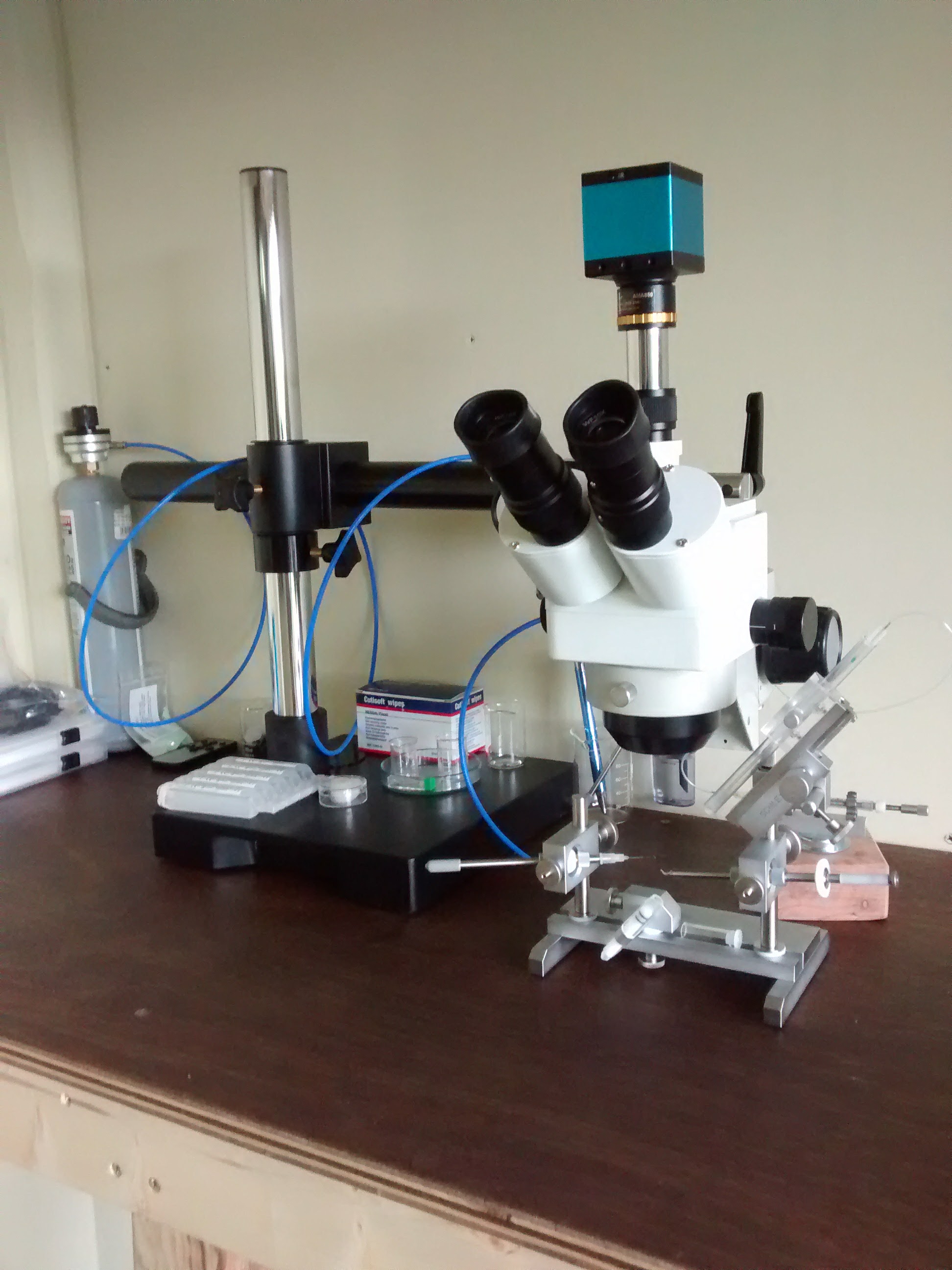 Microscope set up.jpg