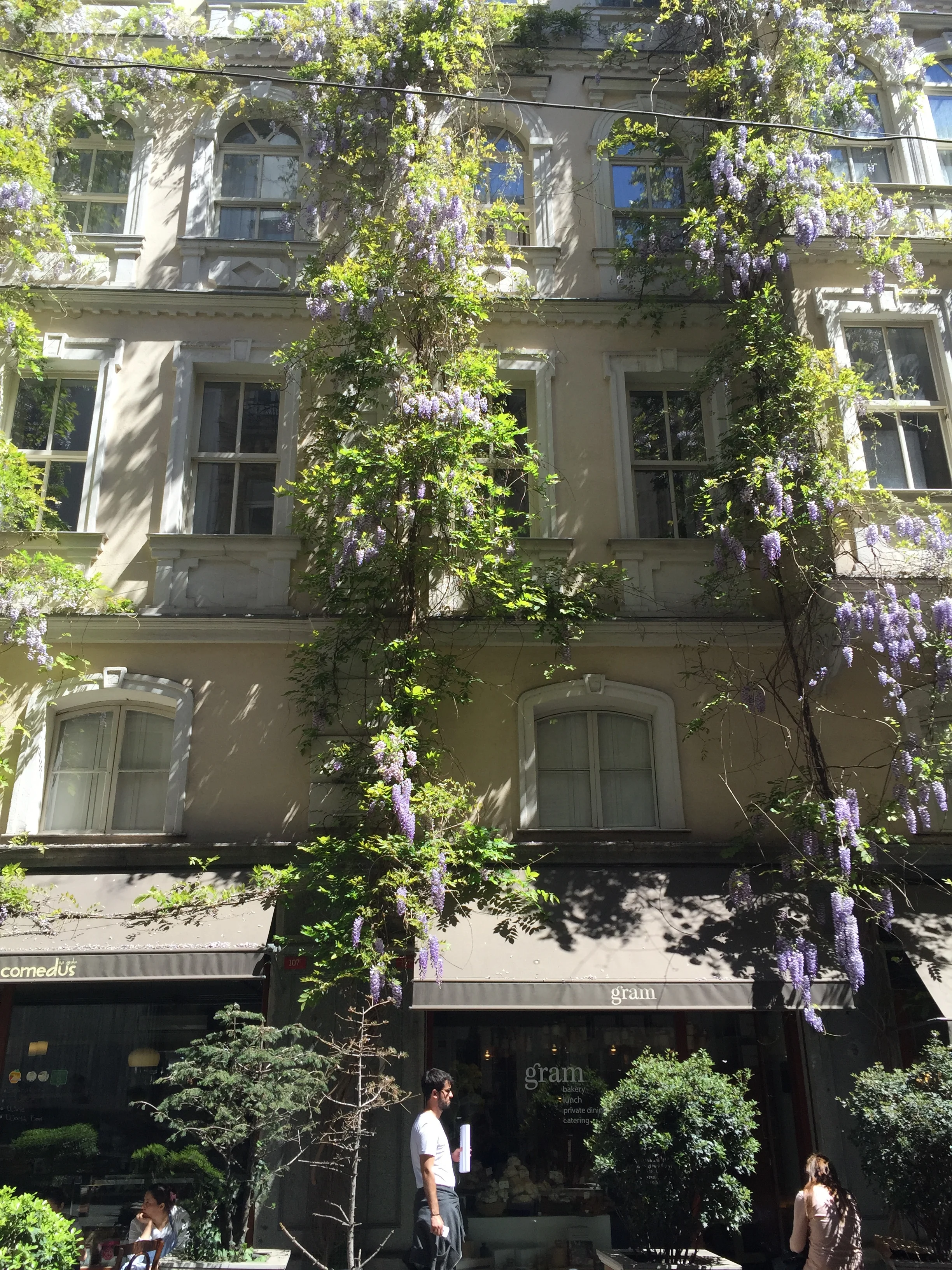 A wisteria laden cafe in the cool Beyoglu district