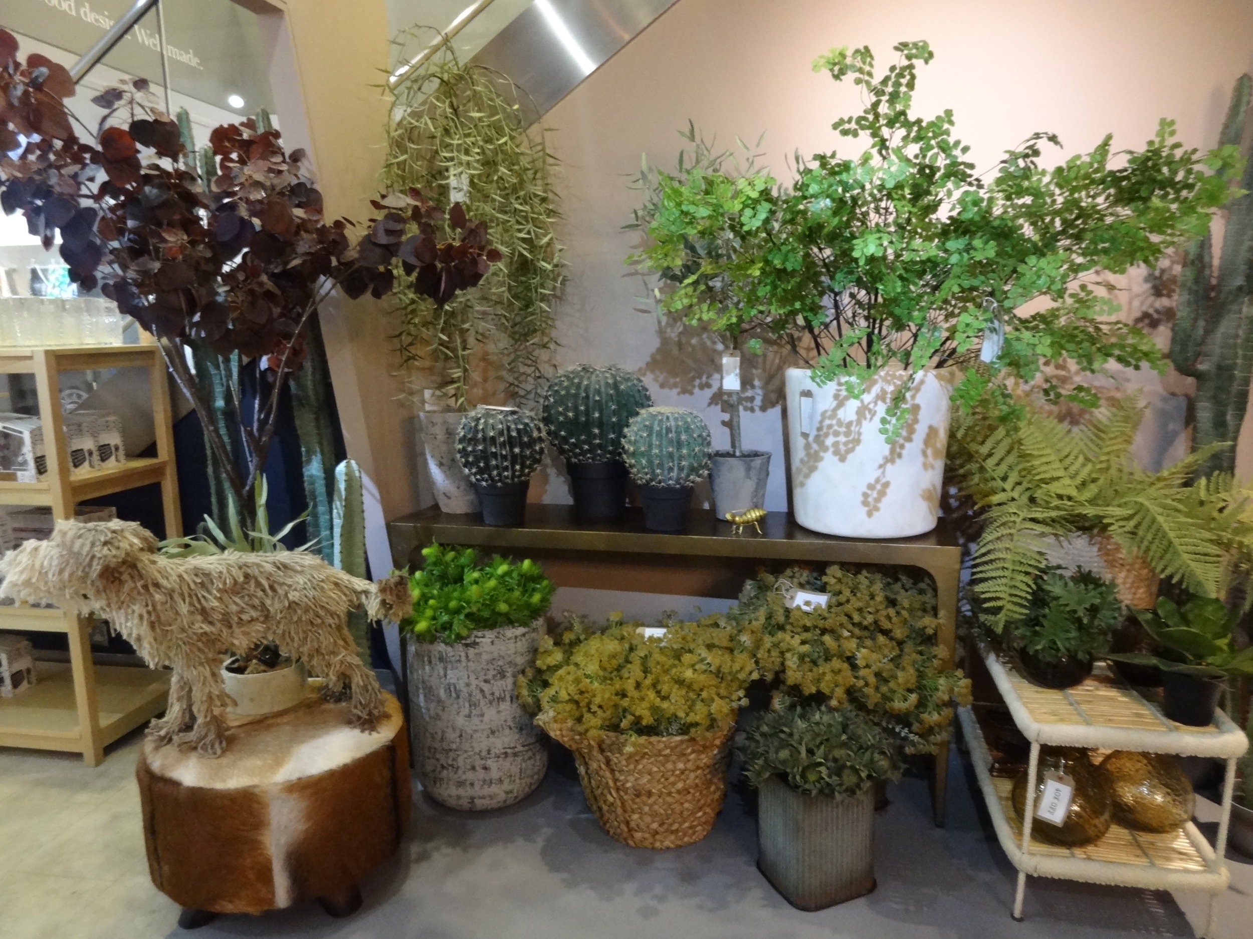 AA's new space in Heals