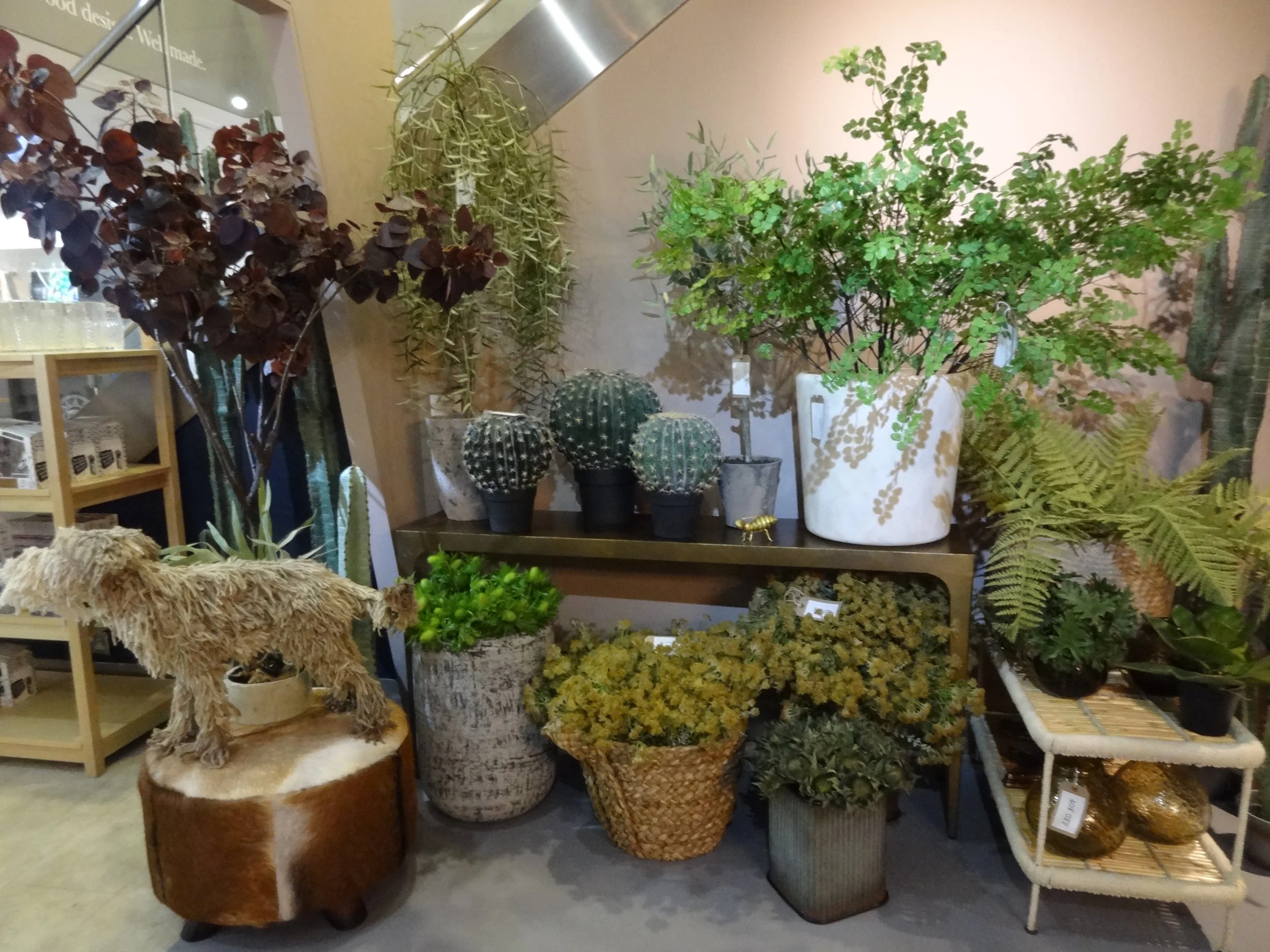 AA's new space in Heals