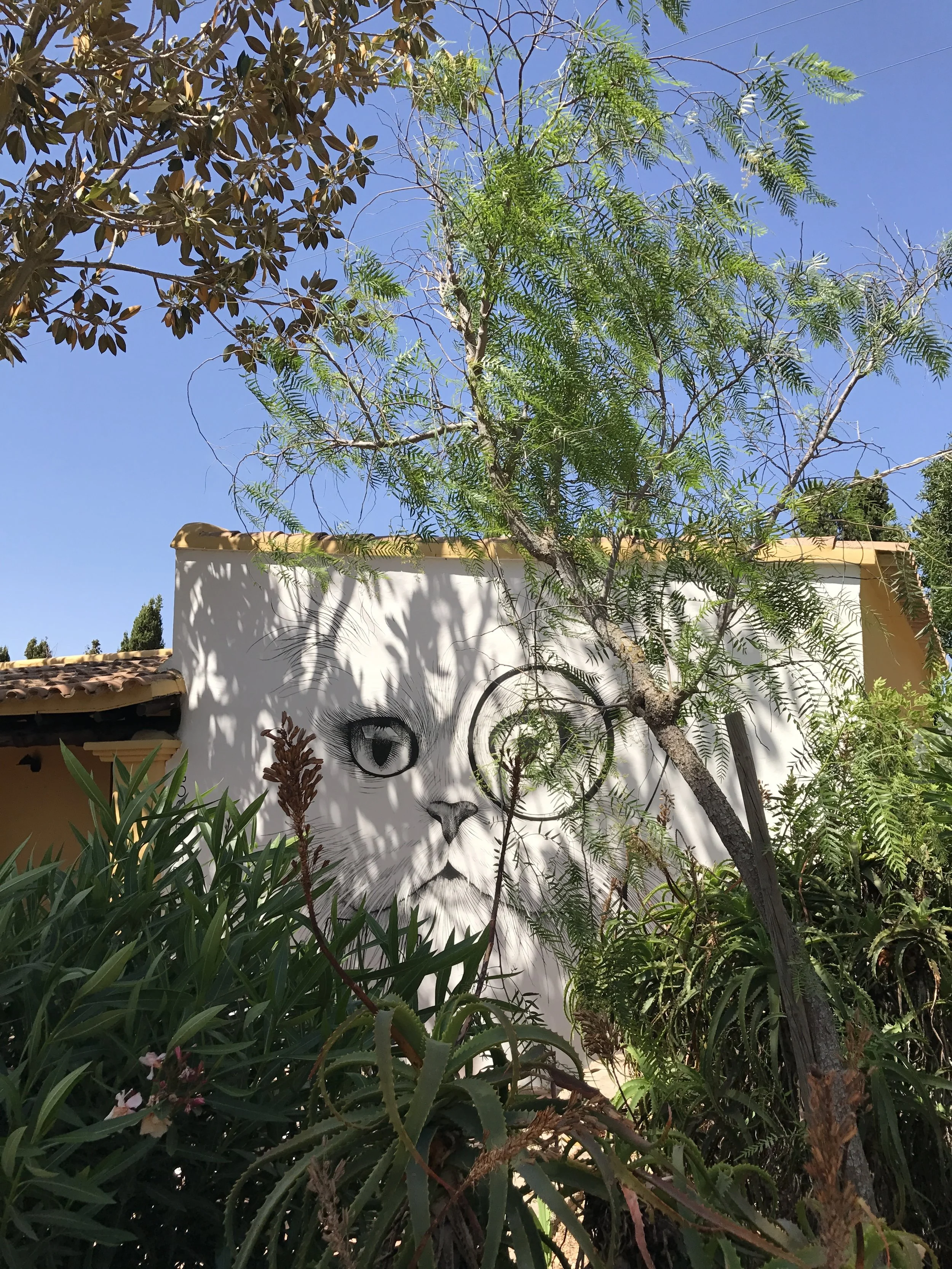 The Rory Dobner mural exterior of the RSG styled Room 9.