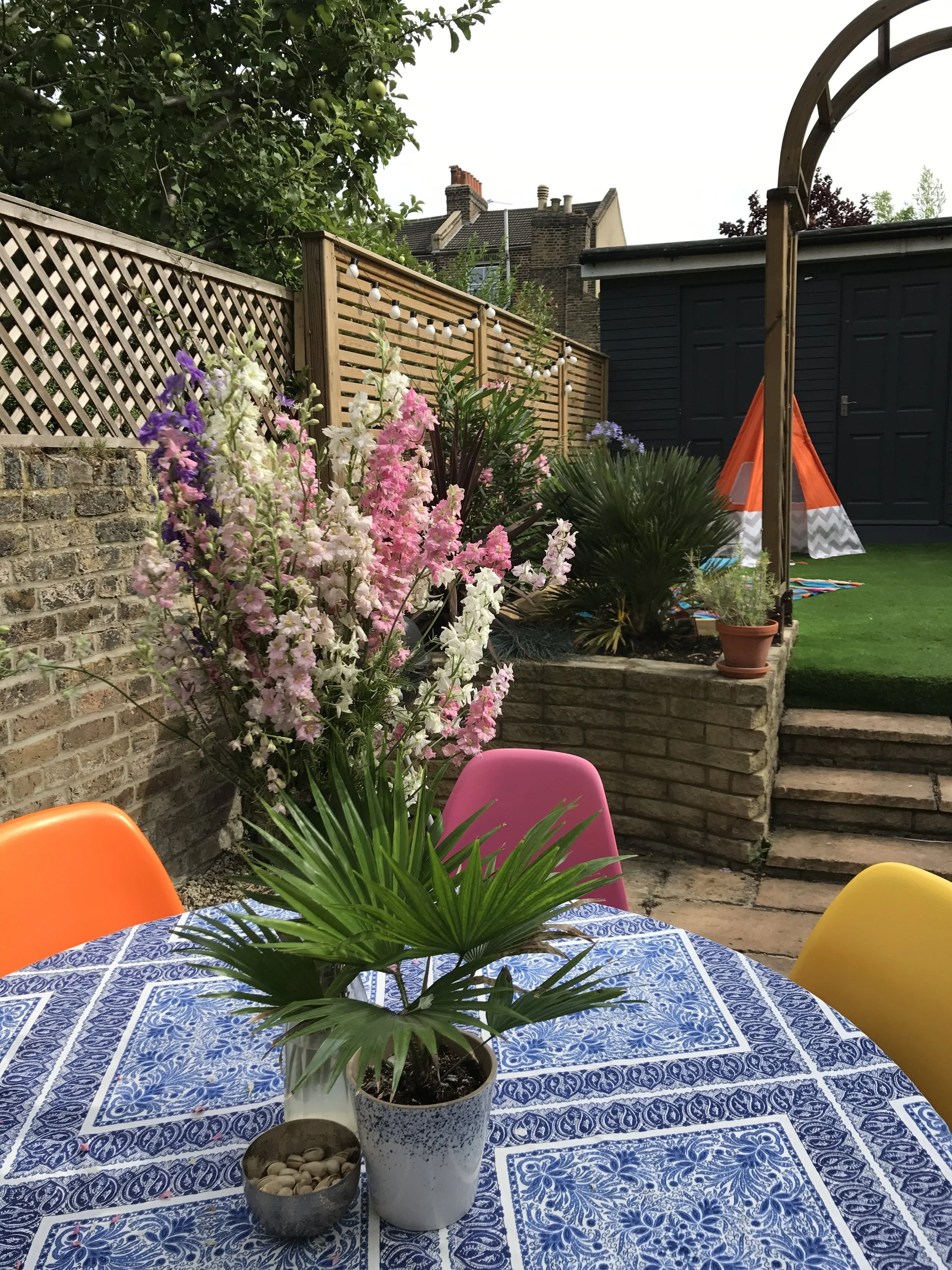 Festoon lighting, plant pot and nibbles bowl - Sainsbury's Home