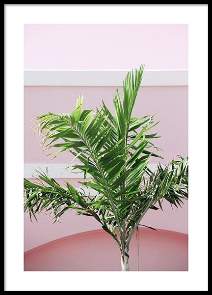 Pink wall, Tropics, Pink Sign (l-r)