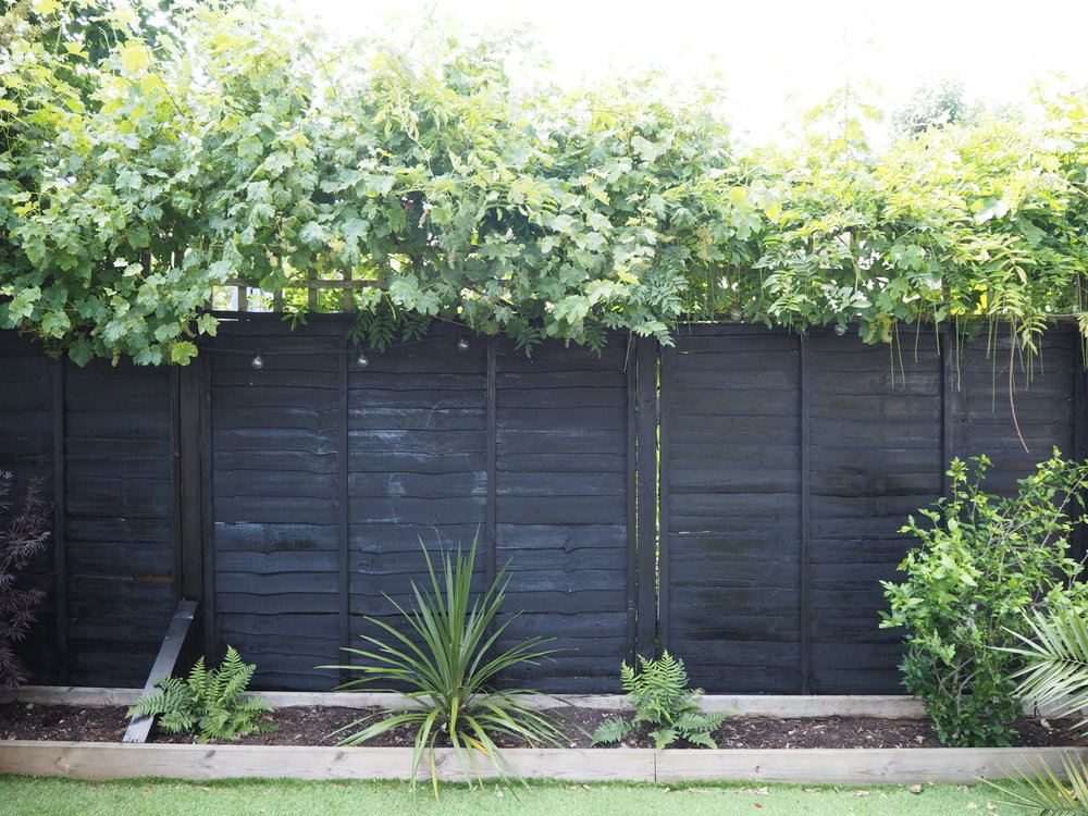 If In Doubt Paint It Black The Failsafe Way To Revive A Tired Garden Fence Or Shed Gold Is Neutral - Best Black Paint Color For Fence