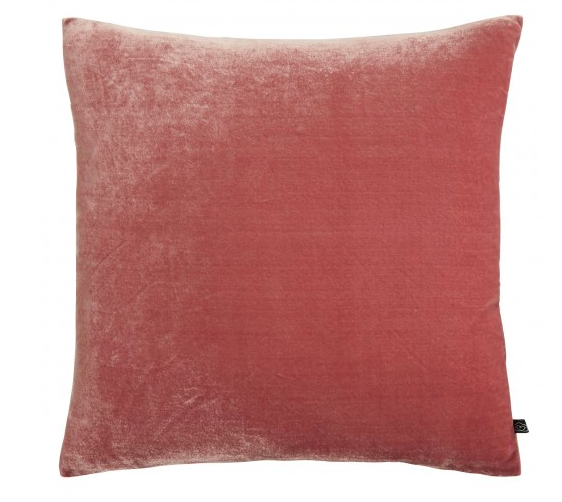  Cushion 