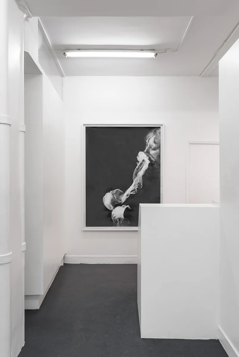 © Grégory Copitet