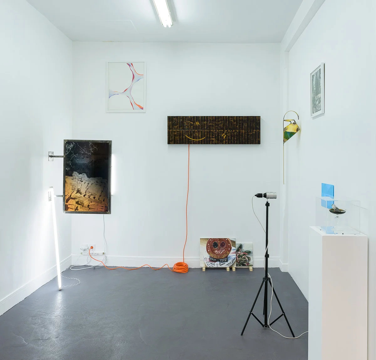 © Grégory Copitet