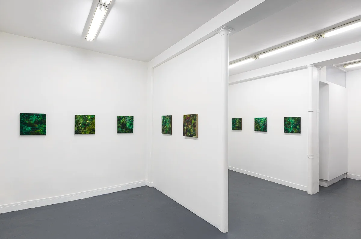 Iron Palm - 2016 galerie Sator © Grégory Copitet