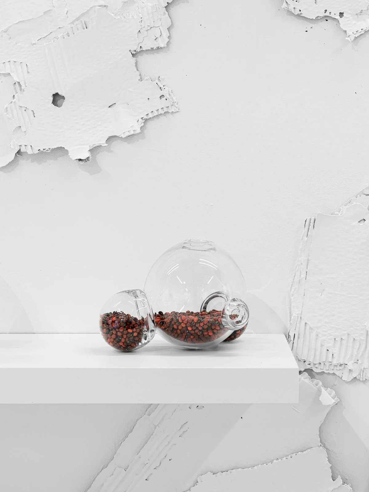 Djindjɛŋtõ - 2022