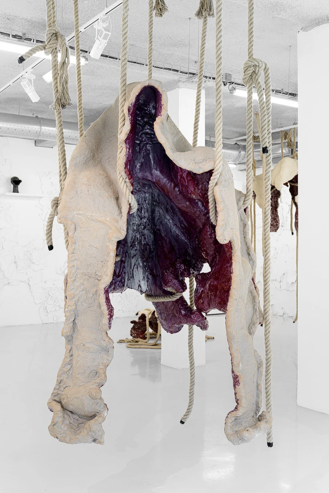 Kotogã (titre provisoire) - 2022