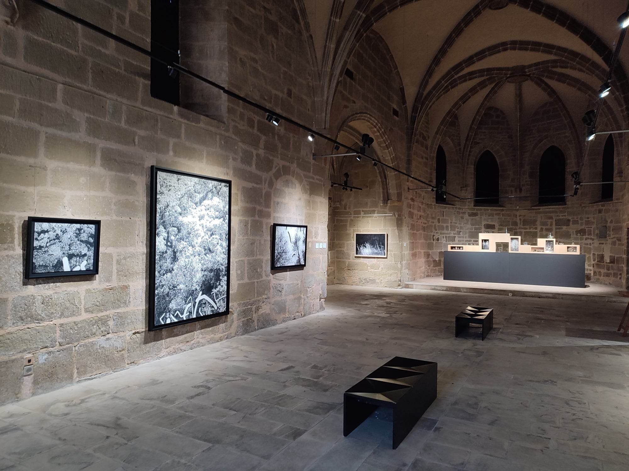   Vue d'exposition -  La douceur fleurie des étoiles -  Chapelle Saint-Libéral  © Sylvain Ciavaldini  