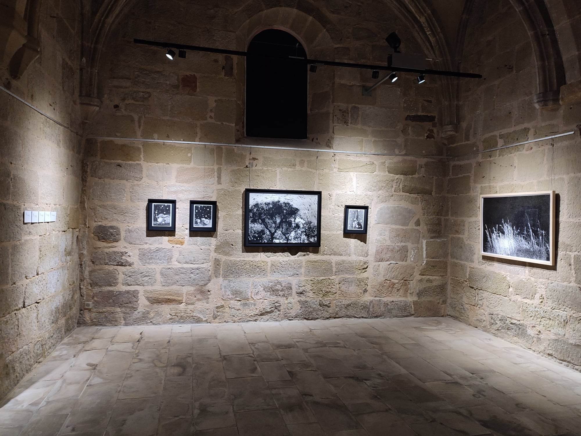   Vue d'exposition -  La douceur fleurie des étoiles -  Chapelle Saint-Libéral  © Sylvain Ciavaldini  