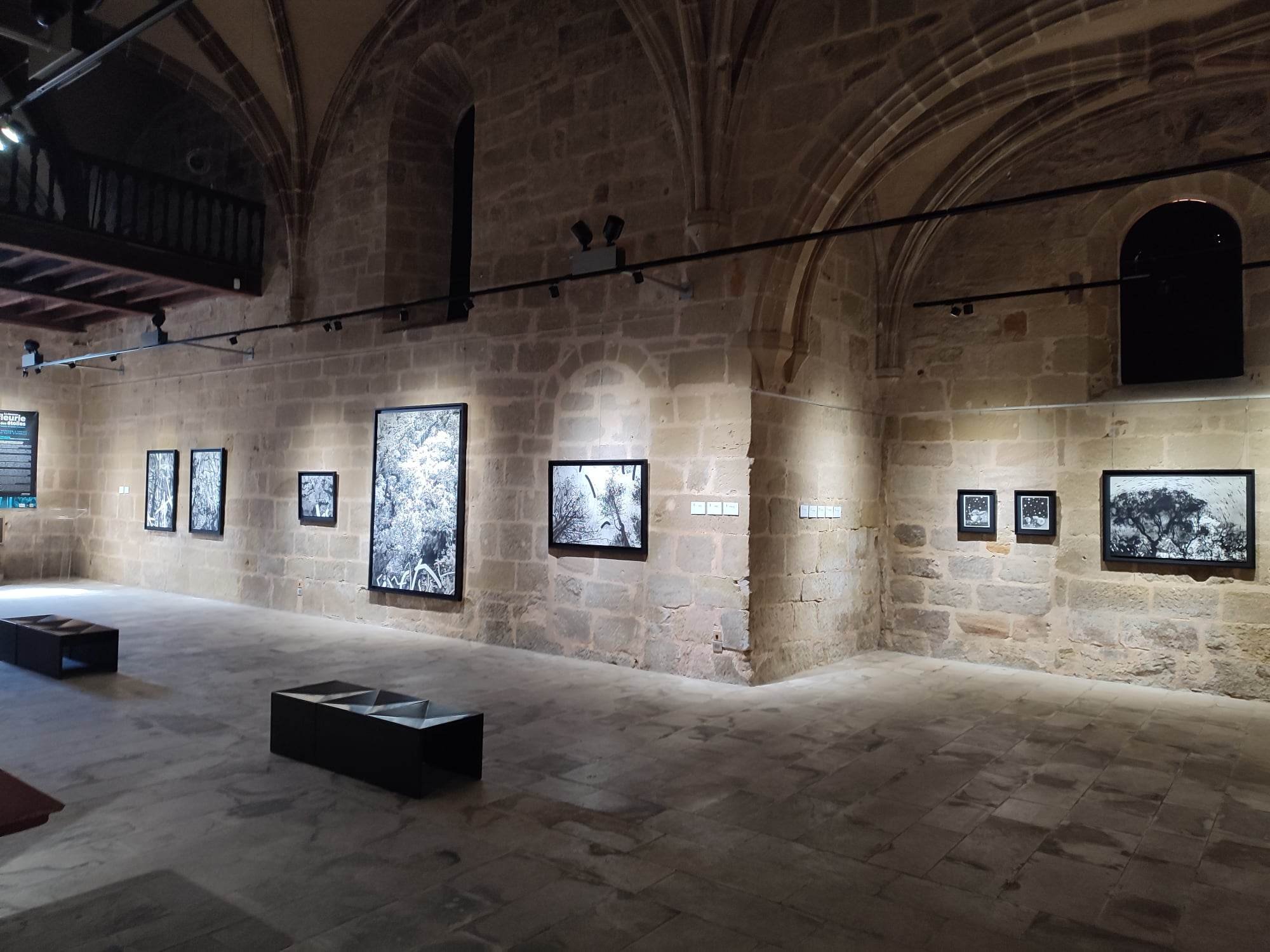   Vue d'exposition -  La douceur fleurie des étoiles -  Chapelle Saint-Libéral  © Sylvain Ciavaldini  