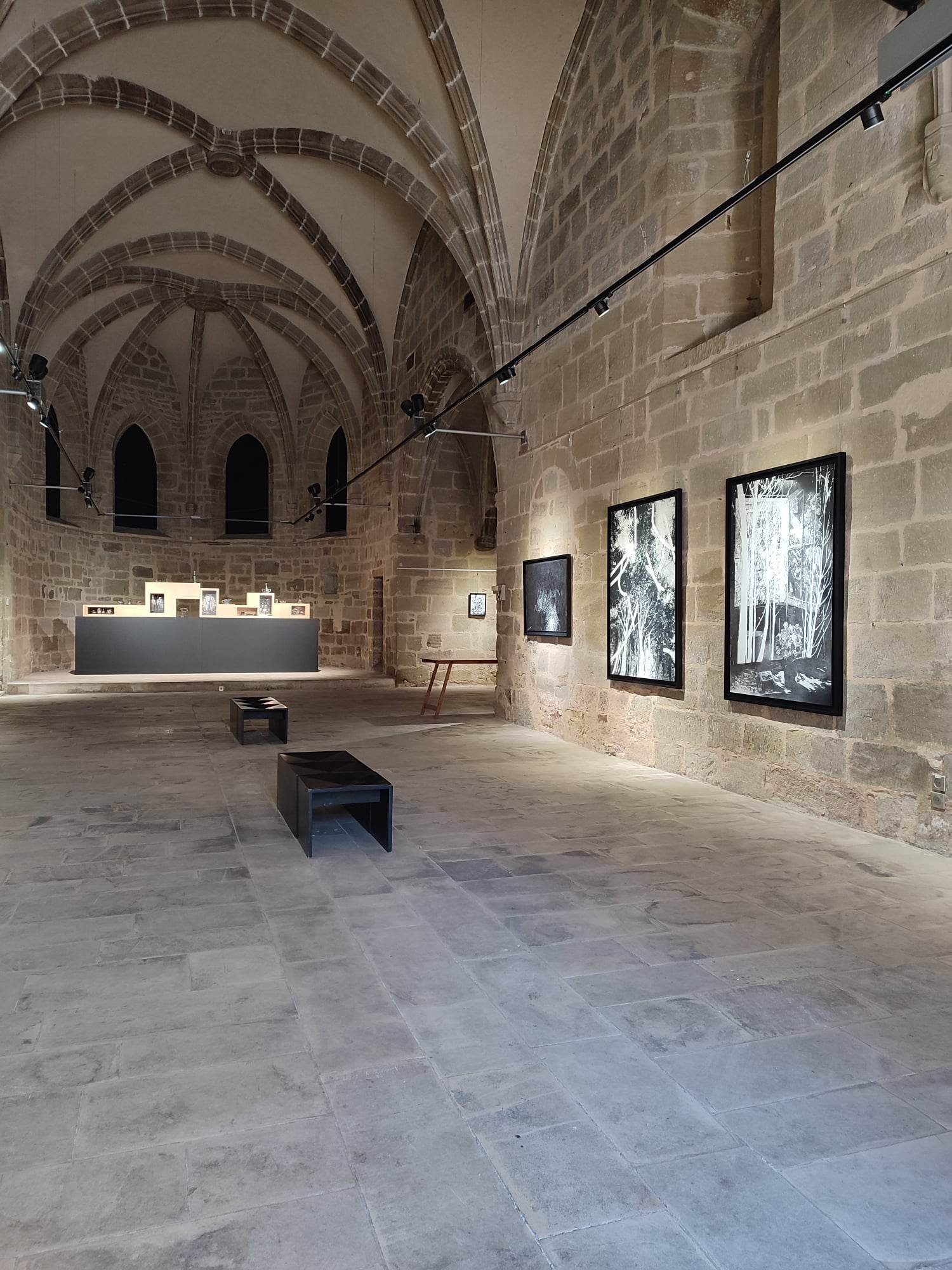   Vue d'exposition -  La douceur fleurie des étoiles -  Chapelle Saint-Libéral  © Sylvain Ciavaldini  