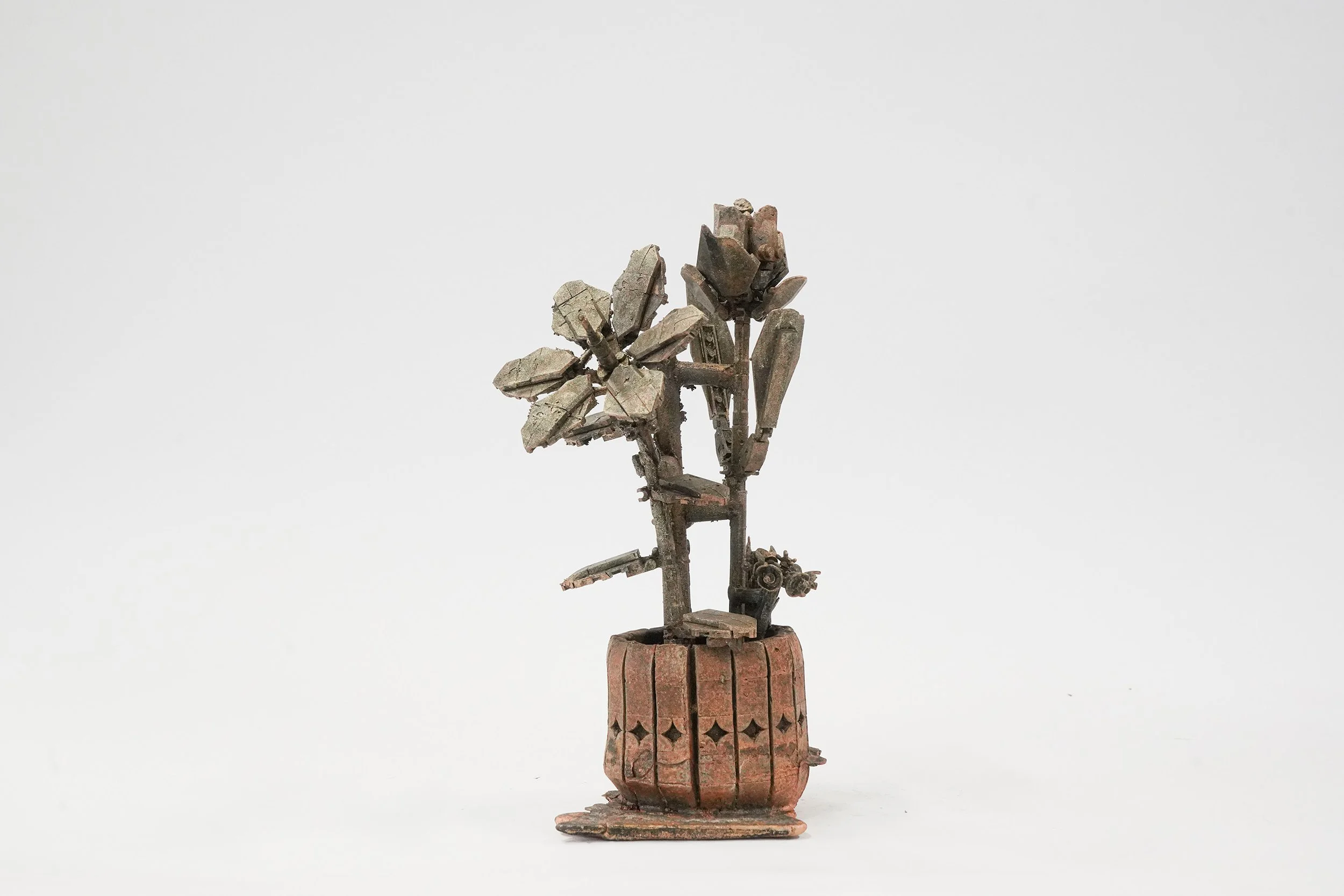 galerieSator_CHRISTIAN GONZENBACH_Plantas Botánicas Plásticas_2024_bronze tirage unique_hauteur 29 cm_WEB2.jpg