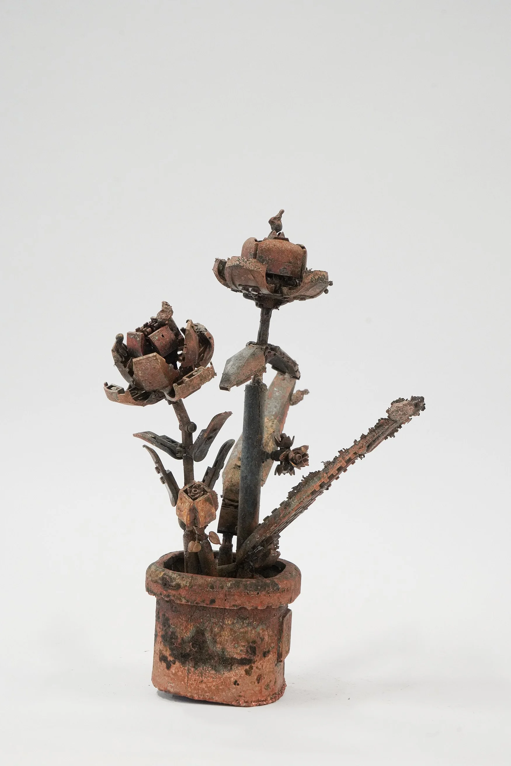 galerieSator_CHRISTIAN GONZENBACH_Plantas Botánicas Plásticas_2024_bronze tirage unique_hauteur 35 cm_WEB.jpg