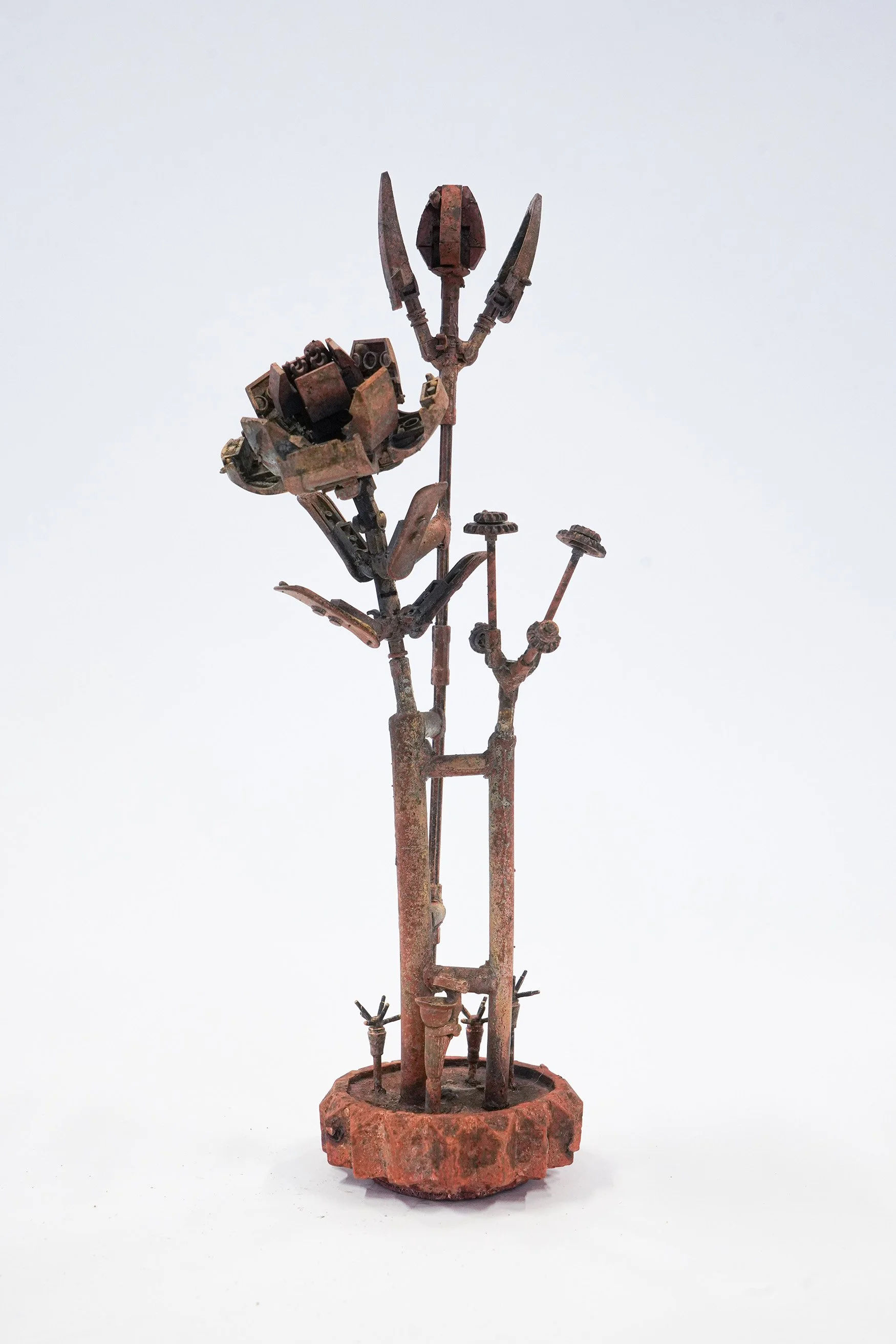 galerieSator_CHRISTIAN GONZENBACH_Plantas Botánicas Plásticas_2024_bronze tirage unique_hauteur 39 cm_WEB.jpg