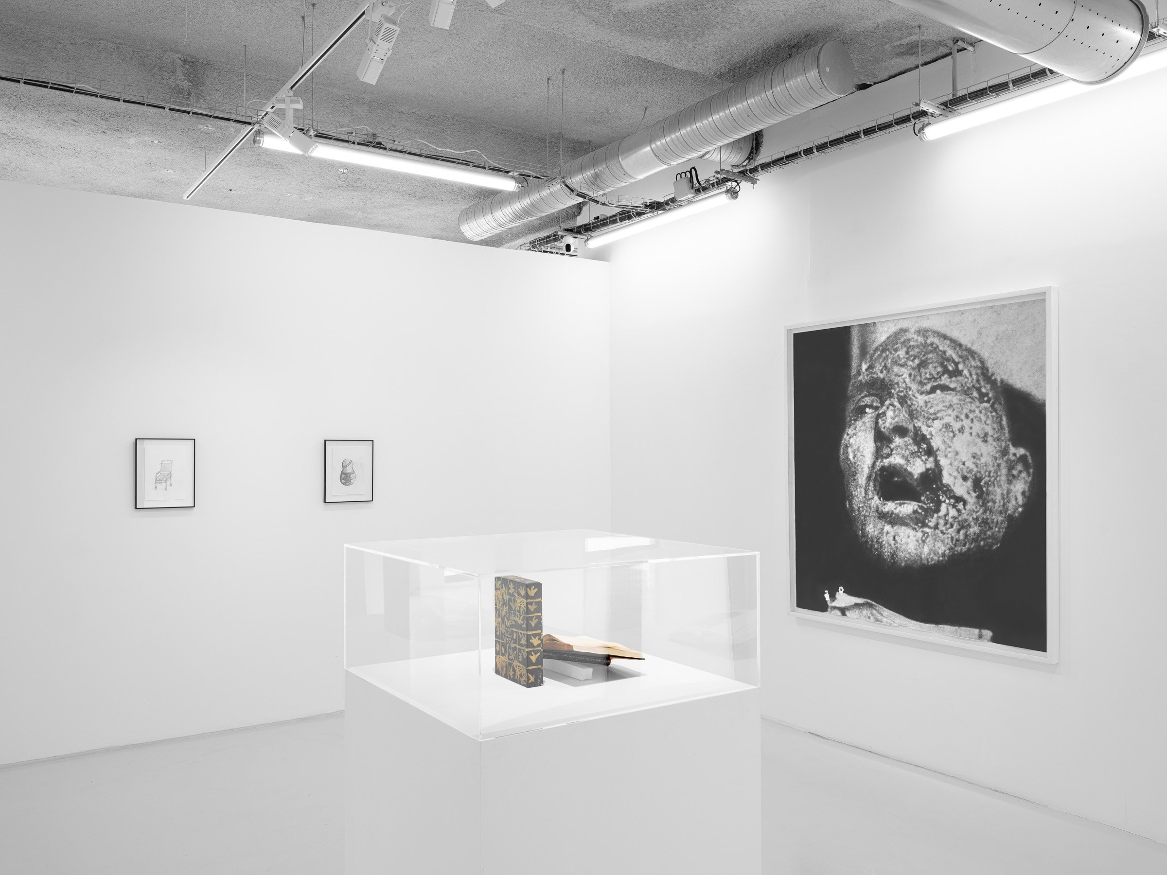galerieSator-vue d'expo-De l'effacement de la figure humaine-@Grégory Copitet7.jpg