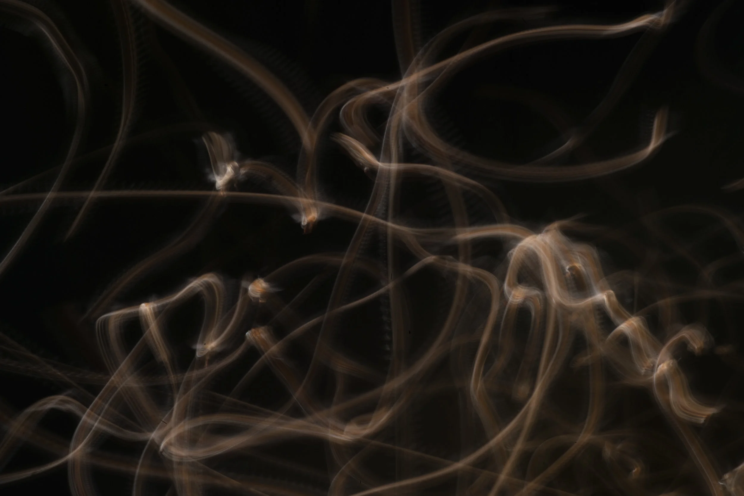 Hive , 2014