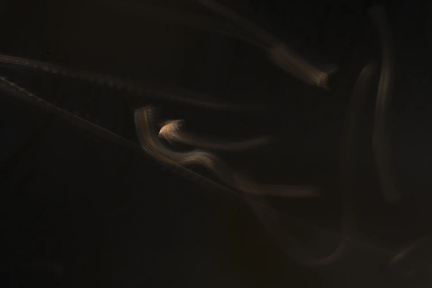 Hive-Ariel_9969 copy 2.jpg