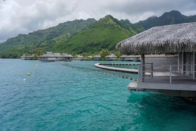 INTERCON MOOREA 5.jpg